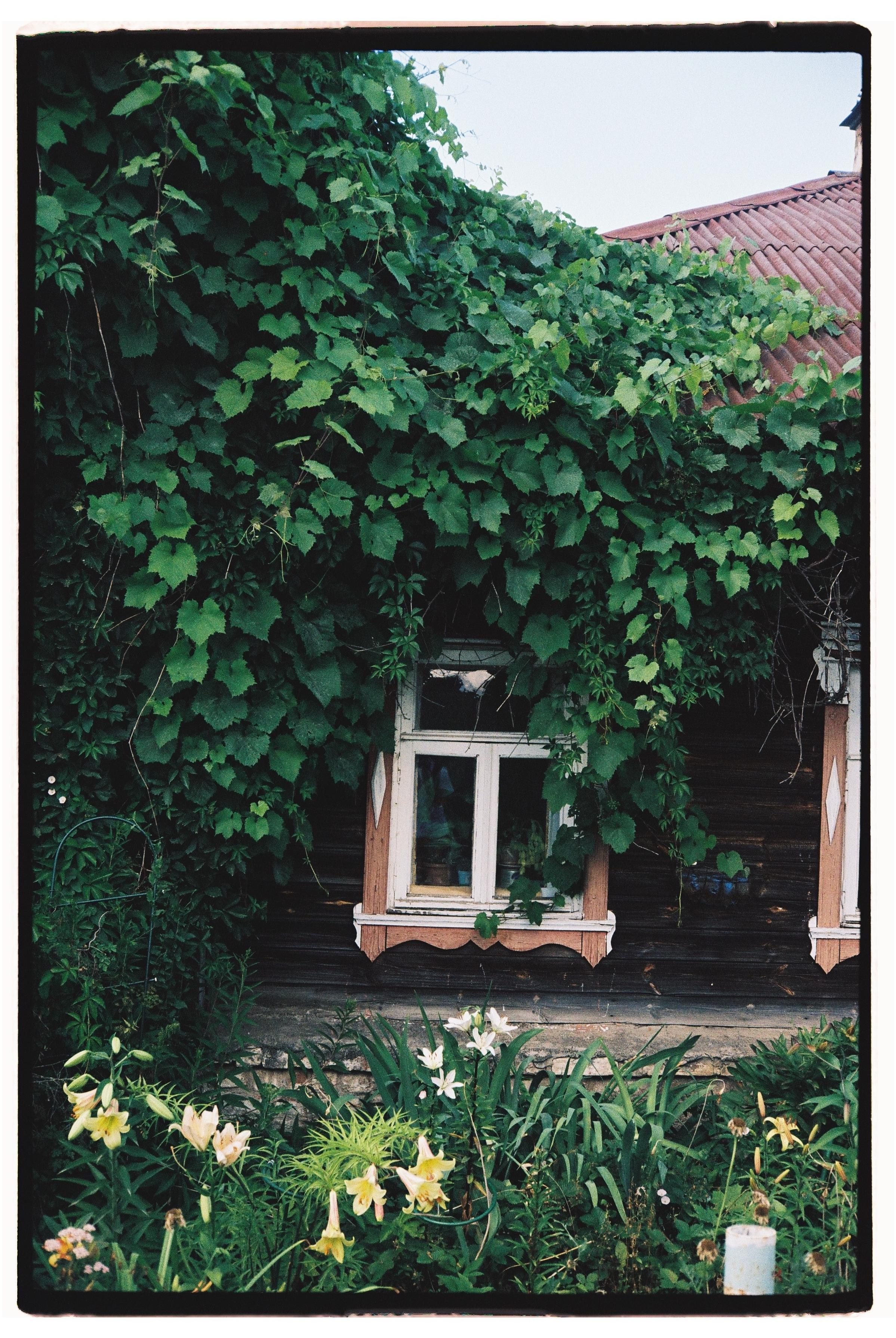 Suzdal. @tomrus: Рустам Шагиморданов — фотограф