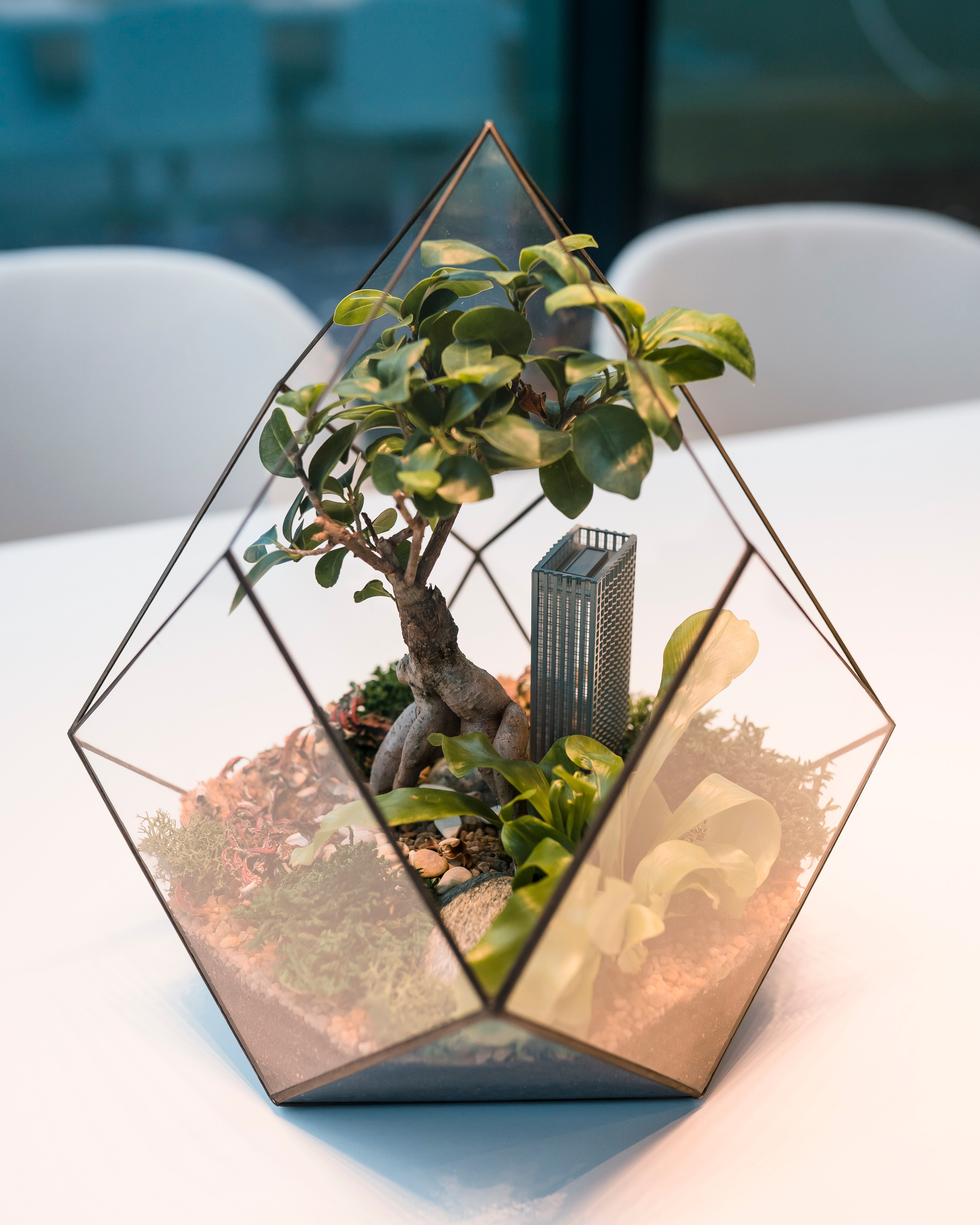 Moments, FORMA. @tomrus: Рустам Шагиморданов — фотограф