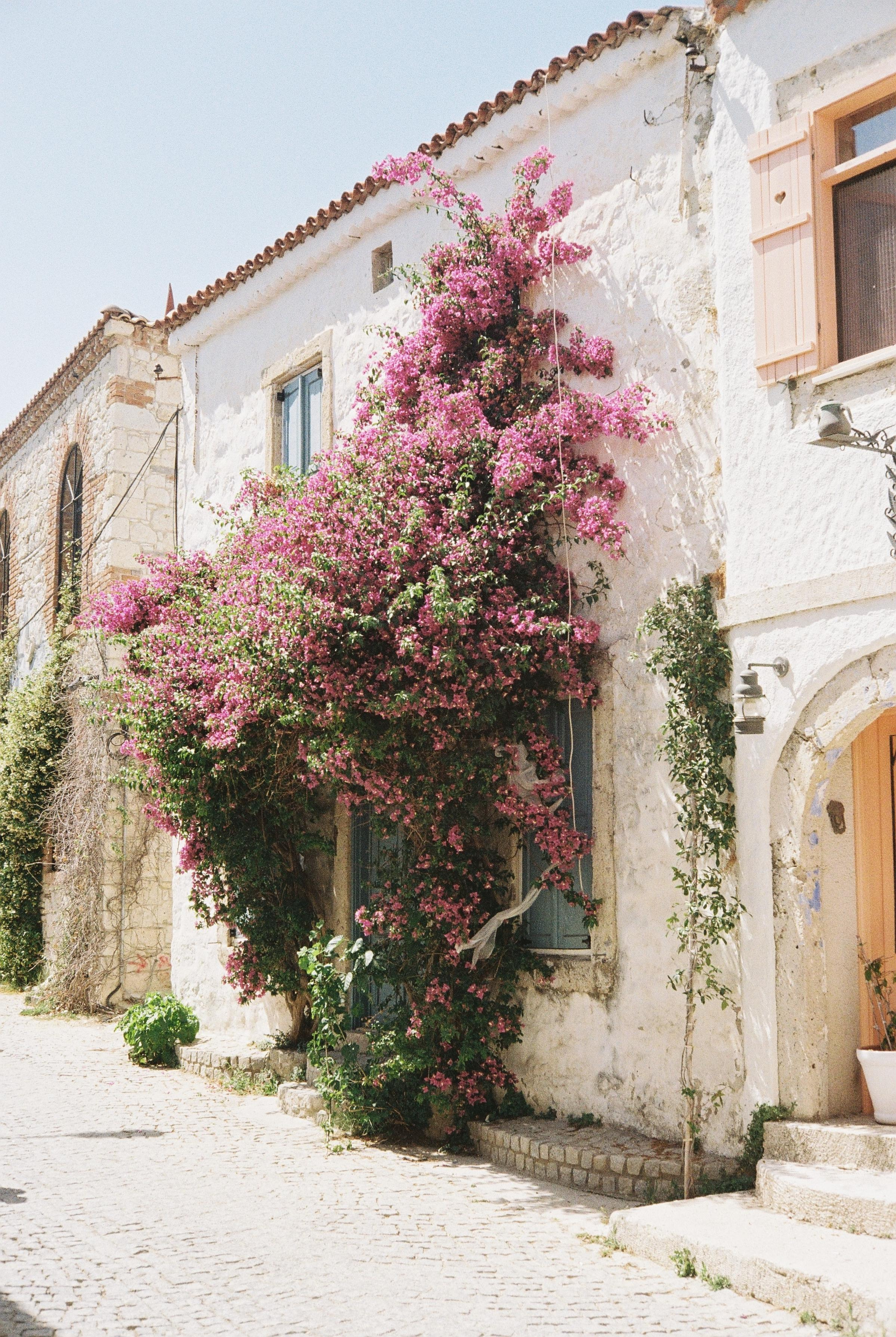 Kuşadası & Izmir. @tomrus: Рустам Шагиморданов — фотограф