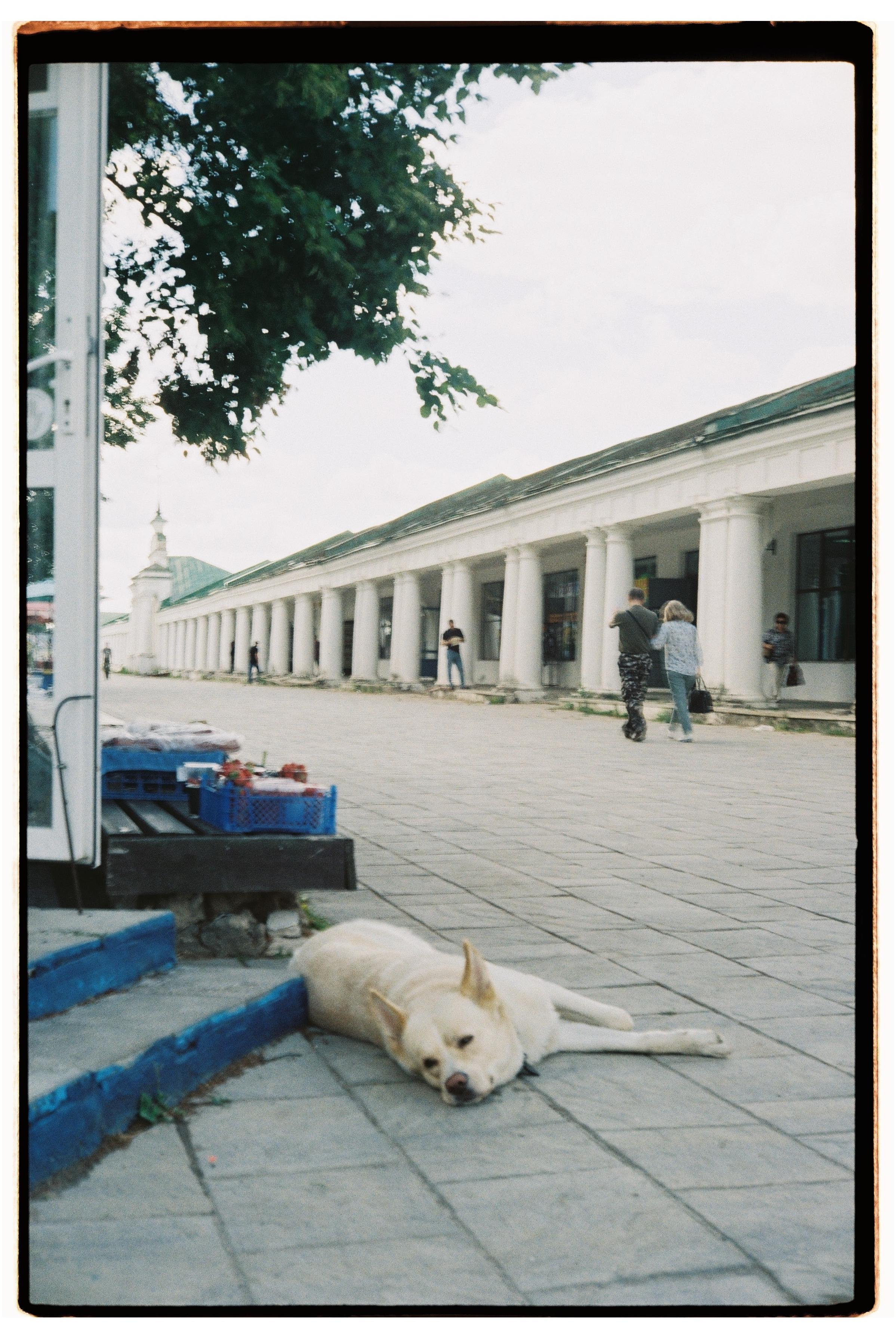 Suzdal. @tomrus: Рустам Шагиморданов — фотограф