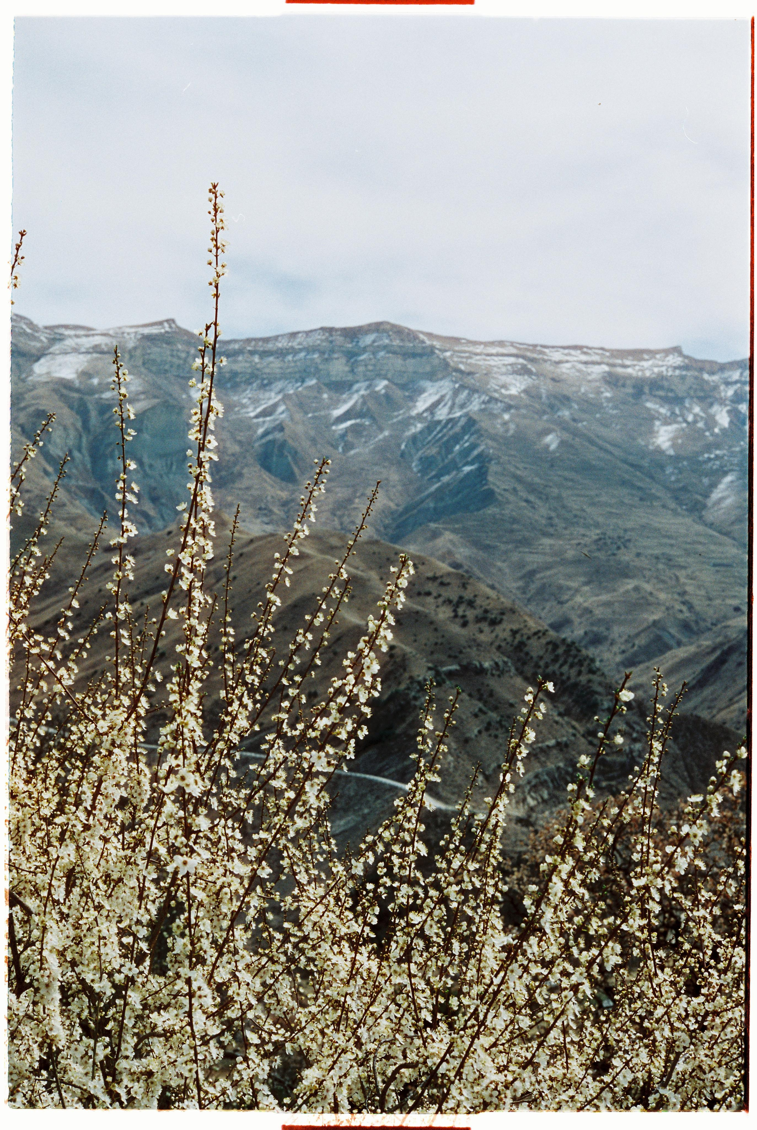 Dagestan. @tomrus: Рустам Шагиморданов — фотограф