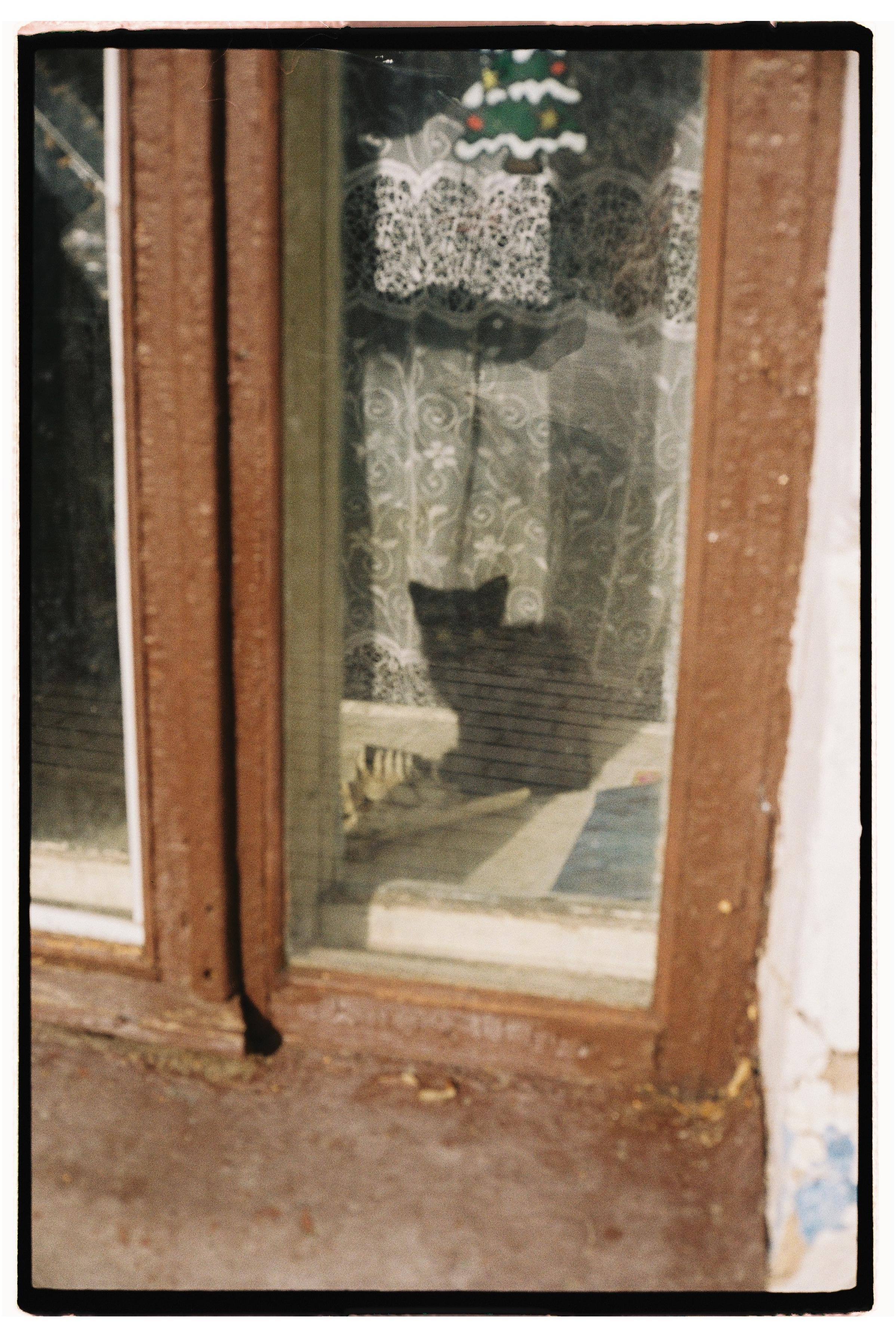 Suzdal. @tomrus: Рустам Шагиморданов — фотограф