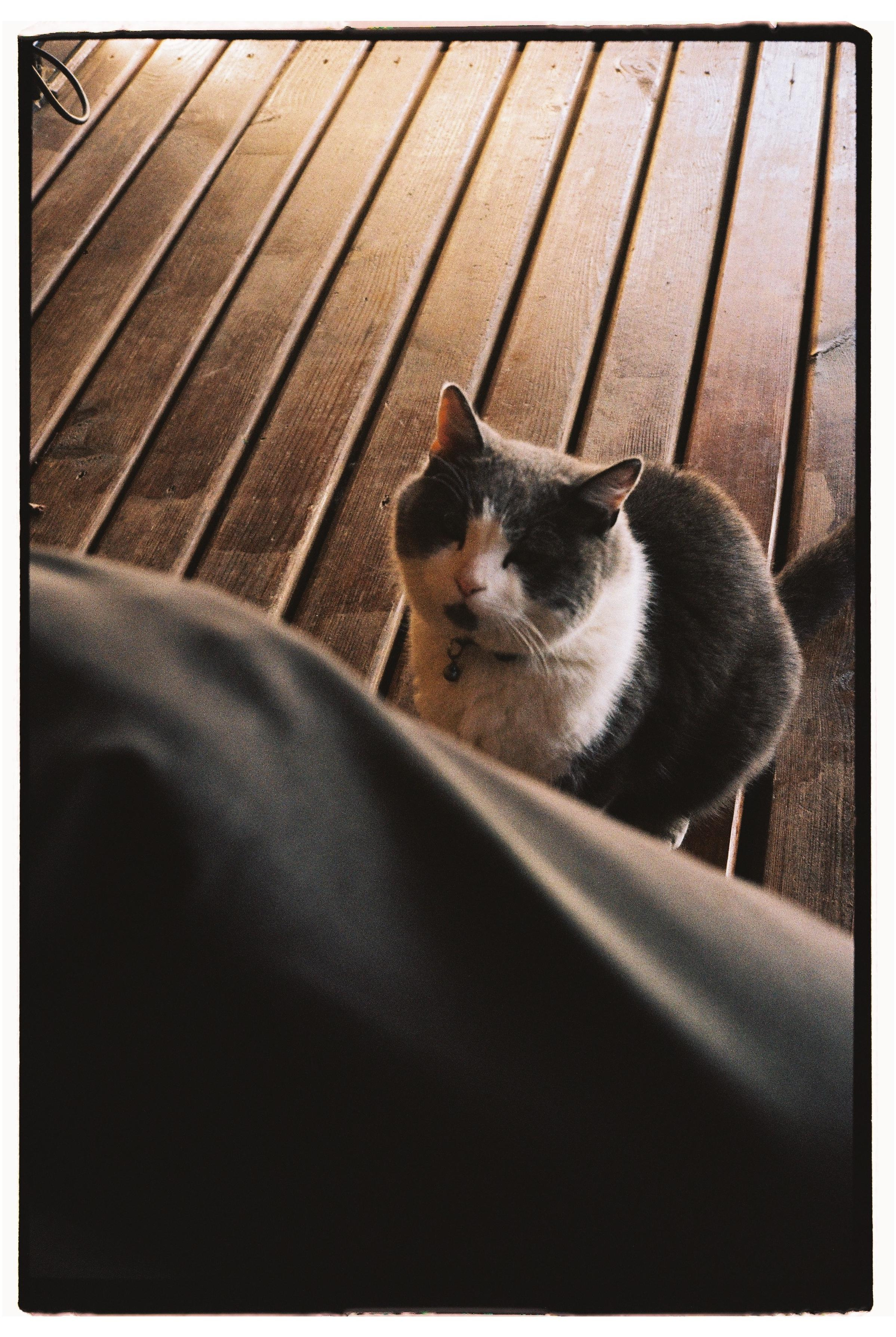 Suzdal. @tomrus: Рустам Шагиморданов — фотограф