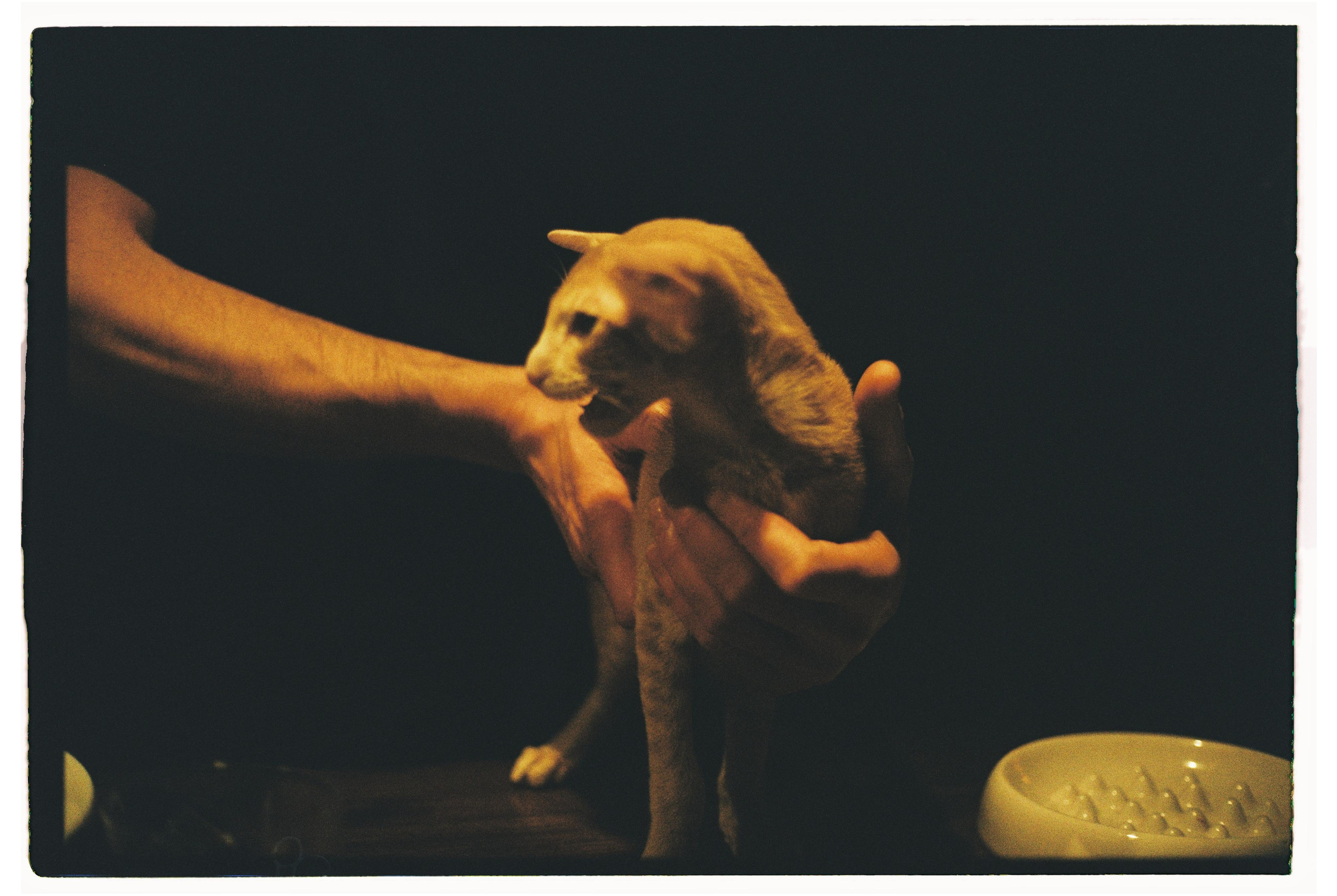 Morning routine. @tomrus: Рустам Шагиморданов — фотограф