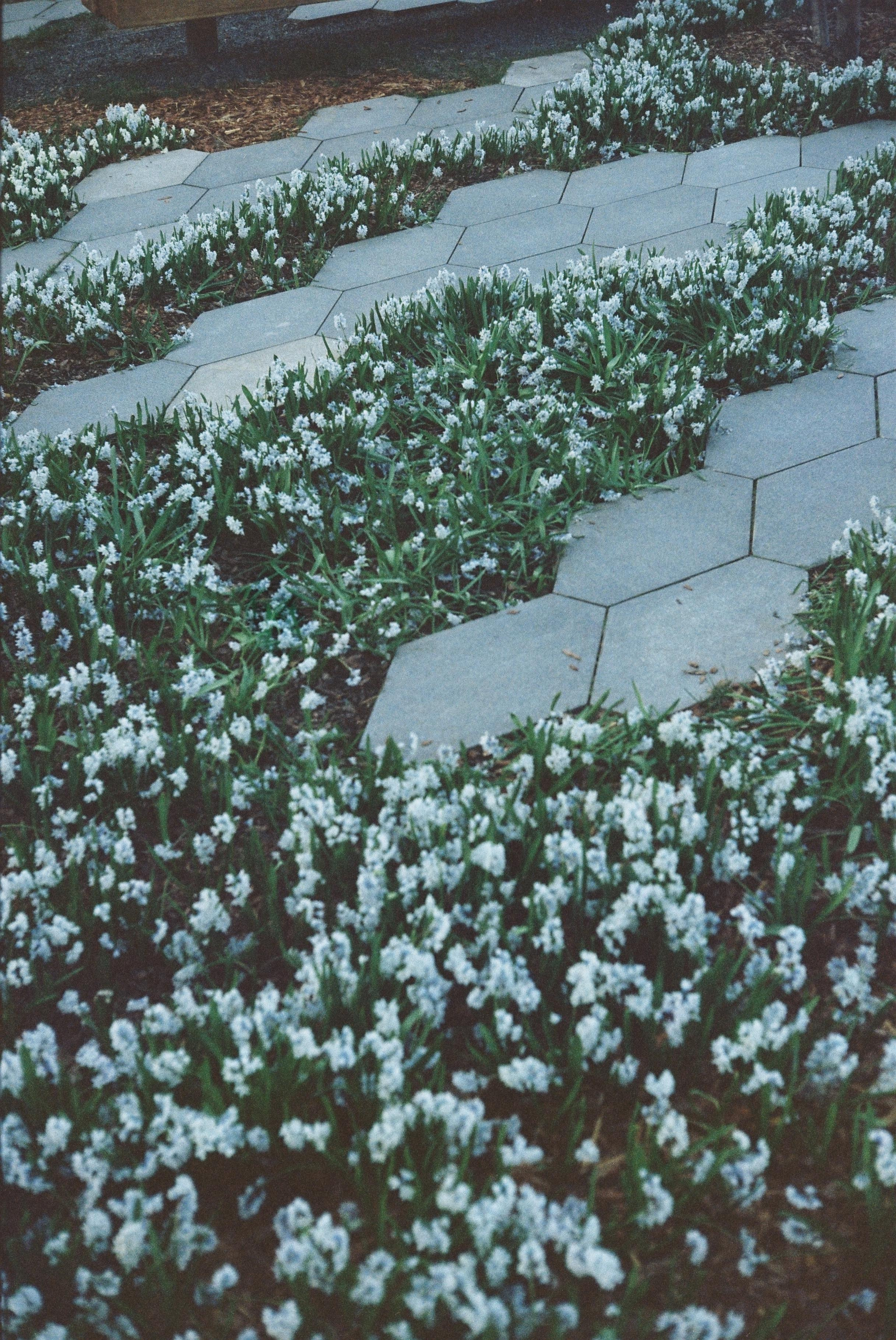 Moscow. @tomrus: Рустам Шагиморданов — фотограф