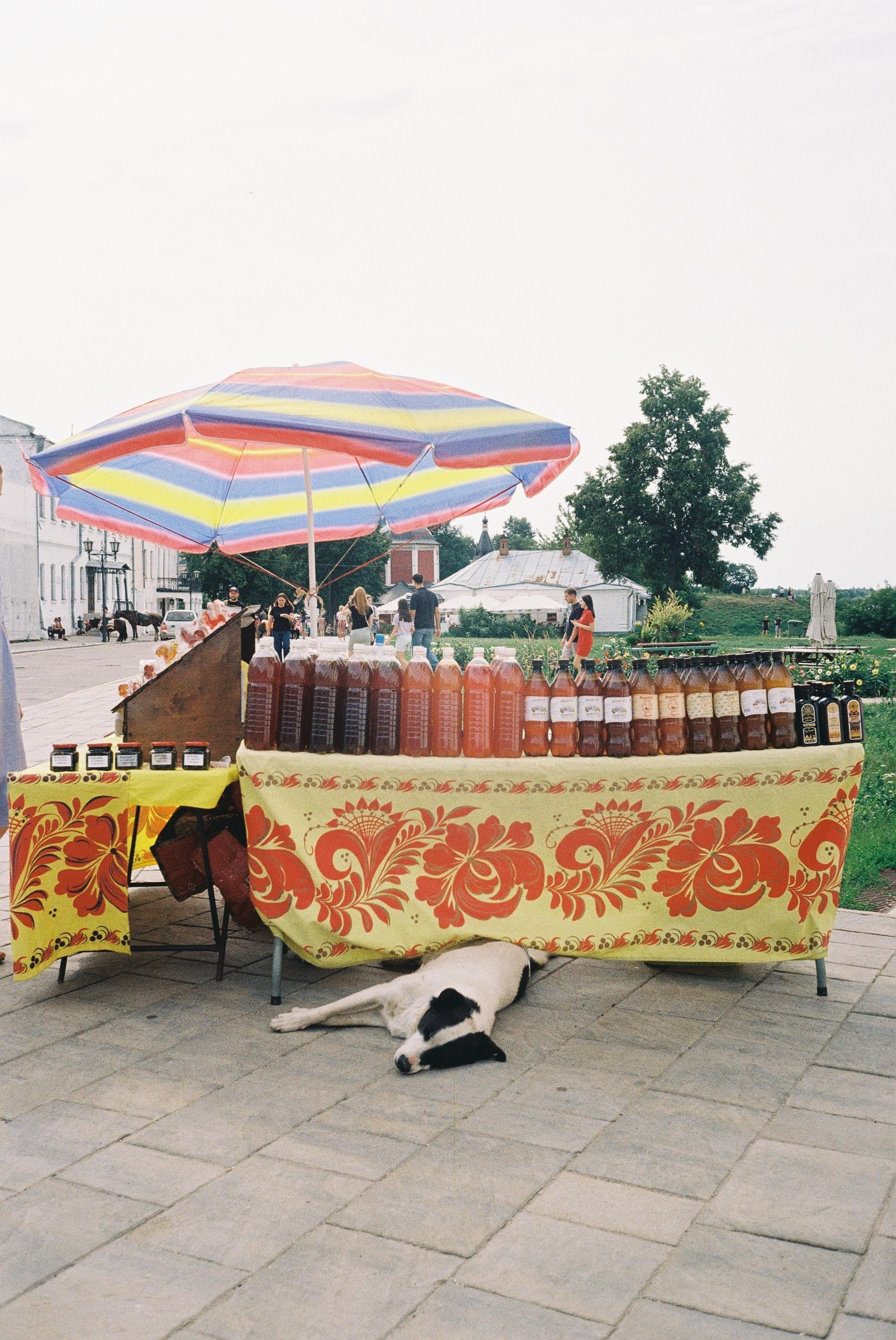 Suzdal. @tomrus: Рустам Шагиморданов — фотограф