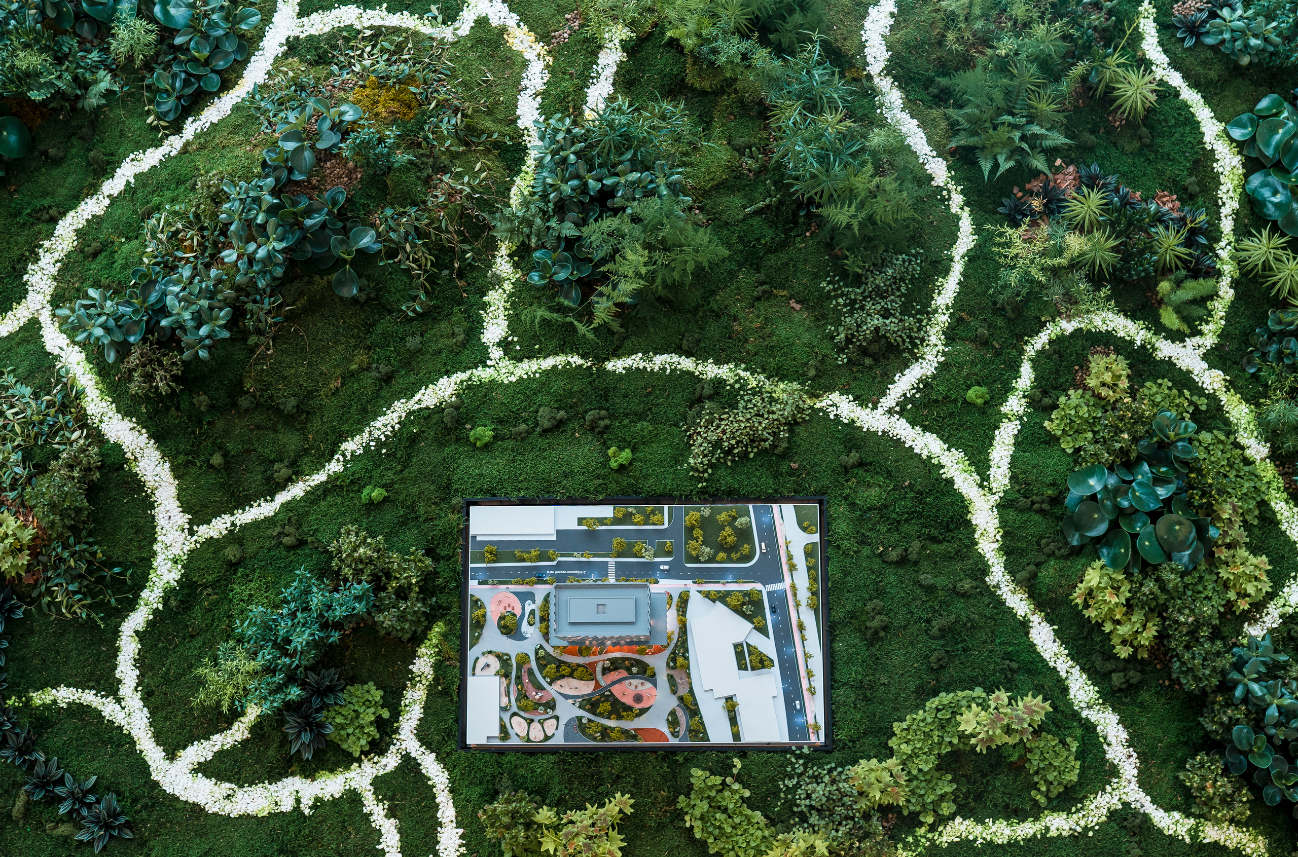 Moments, FORMA. @tomrus: Рустам Шагиморданов — фотограф