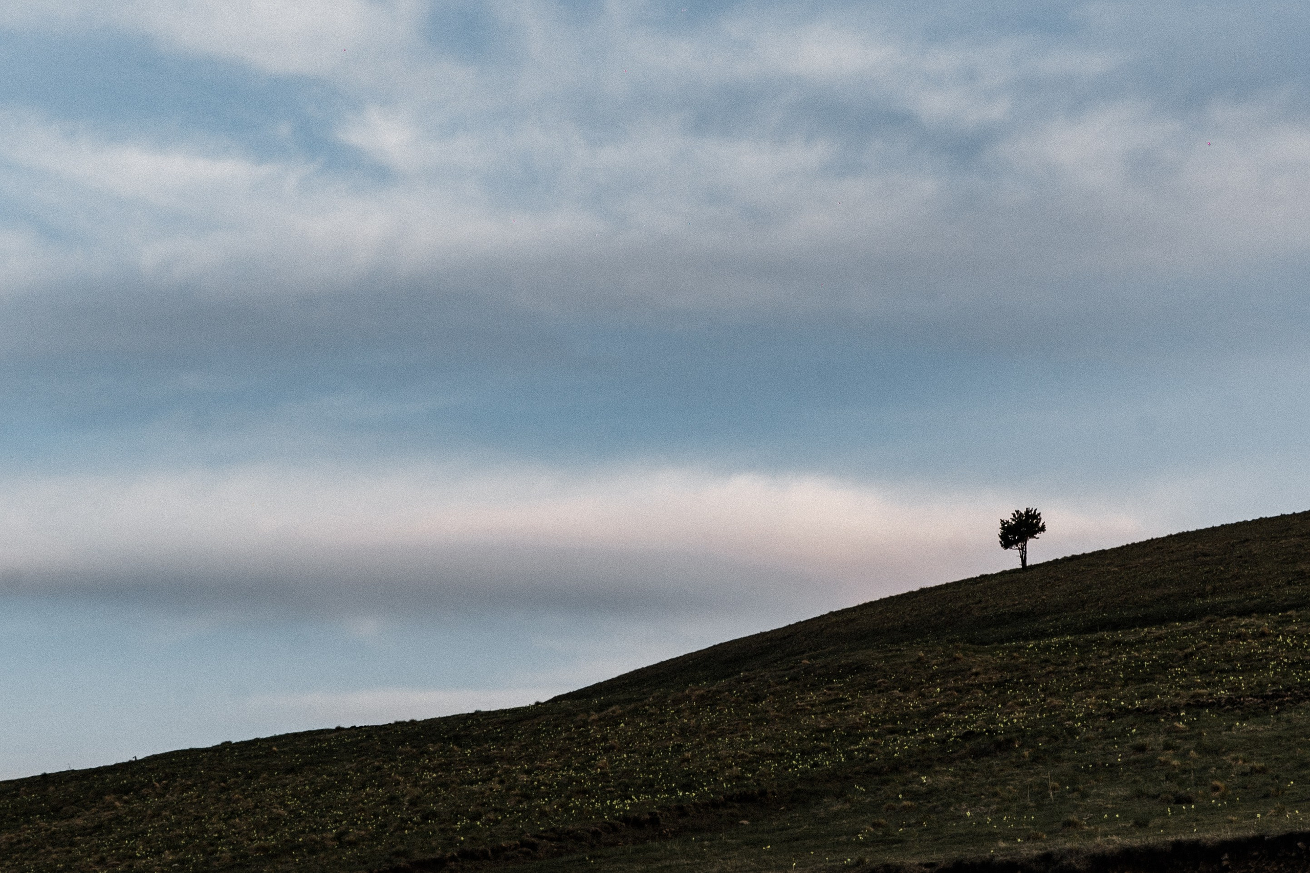 Elbrus. Свадебный и семейный фотограф в Краснодаре Роман Моско