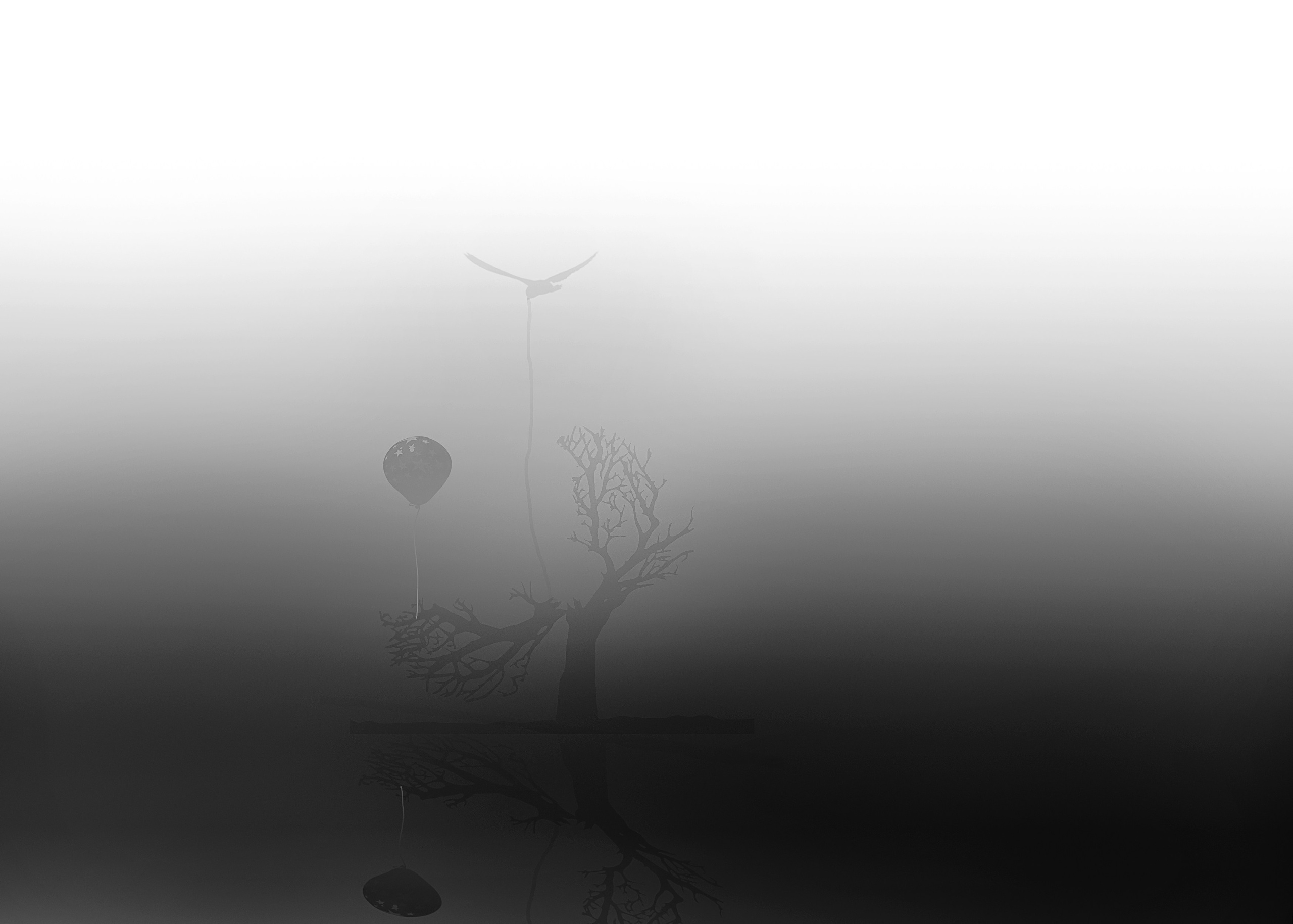 Концептуальная фотография. Медиапродюсер, фотограф в Минеральных Водах —Виктор Холодов