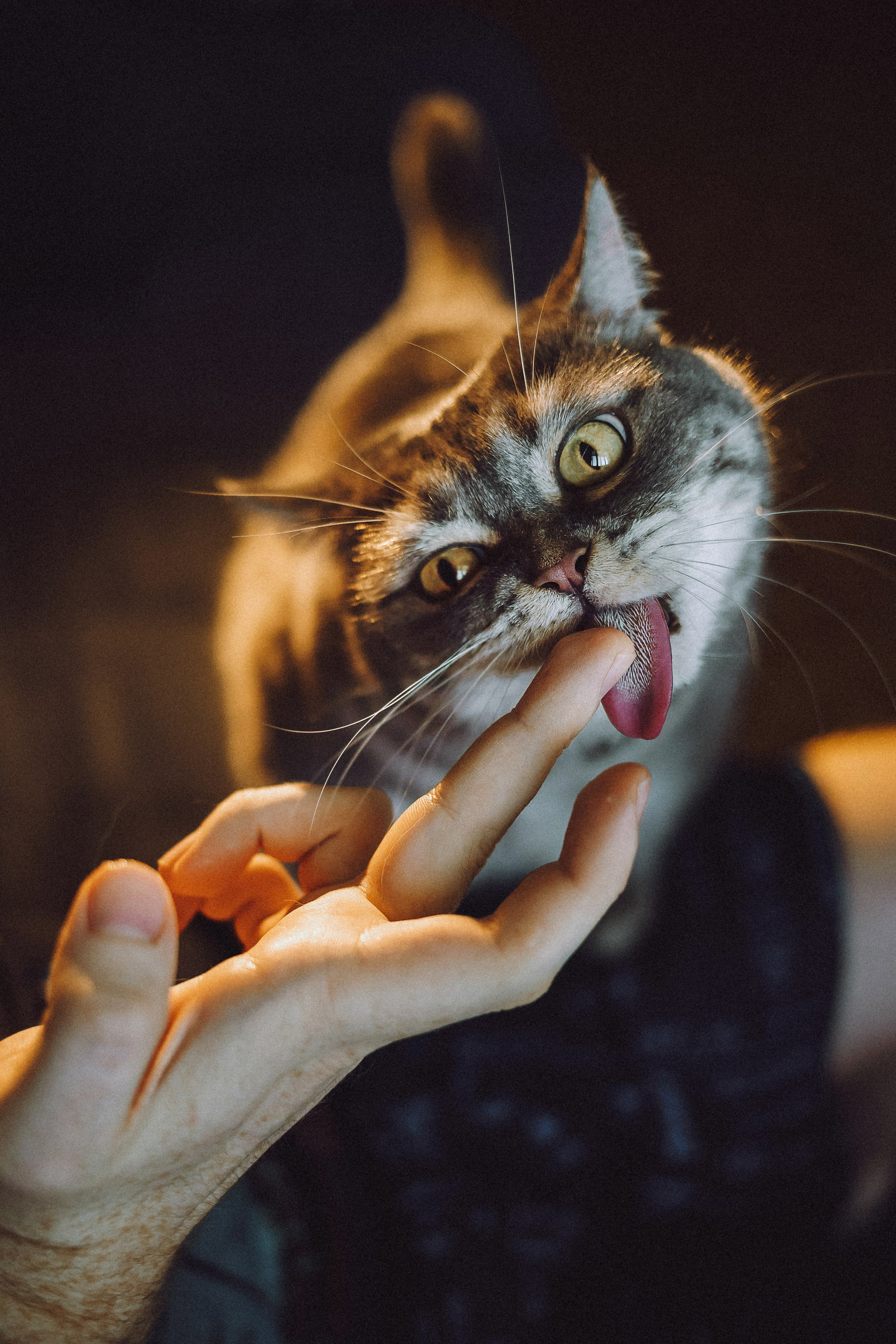 Яся и ее семья