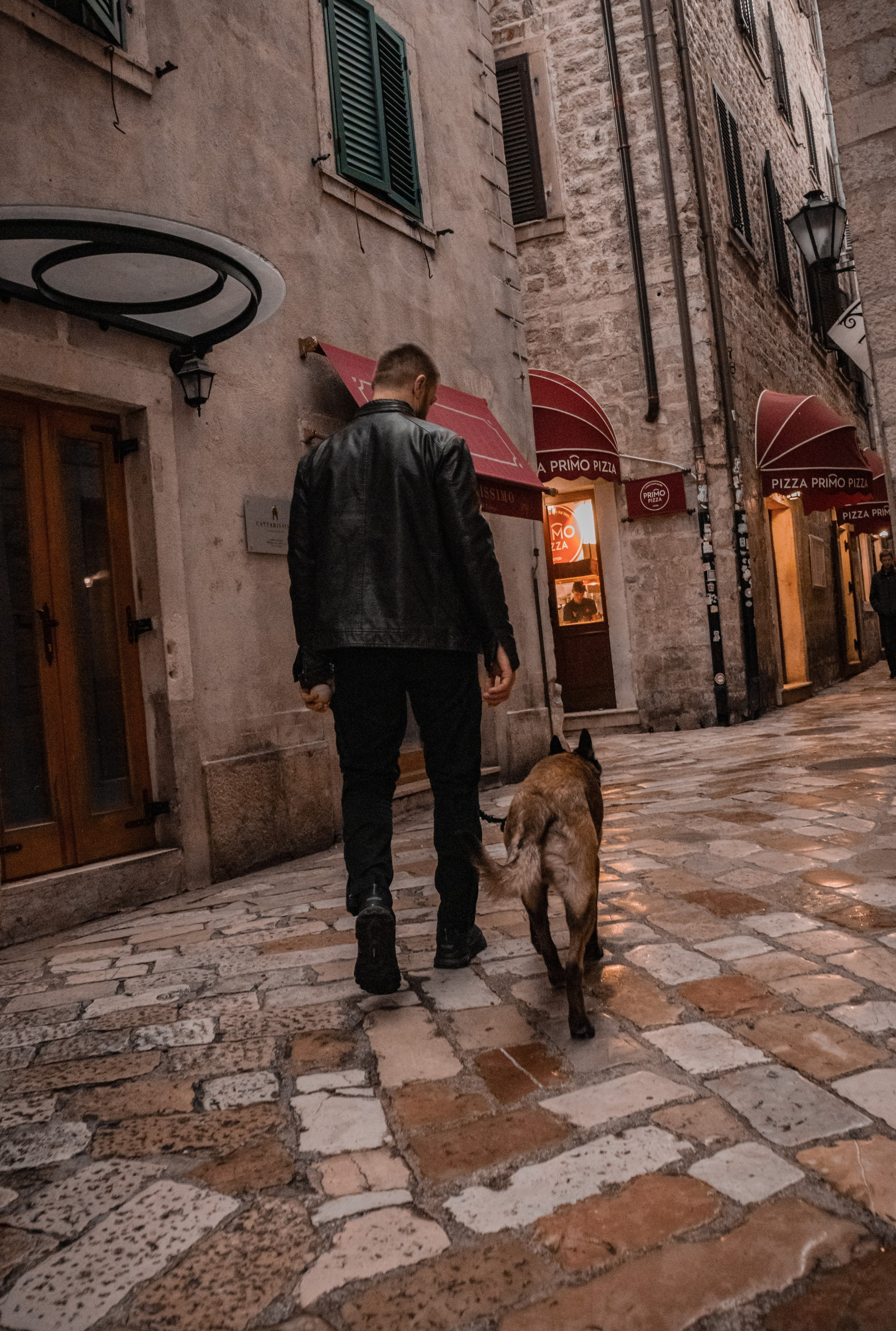 Photoshoot with a dog in Montenegro. Portrait photographer in Tivat Montenegro Katerina Kirsanova