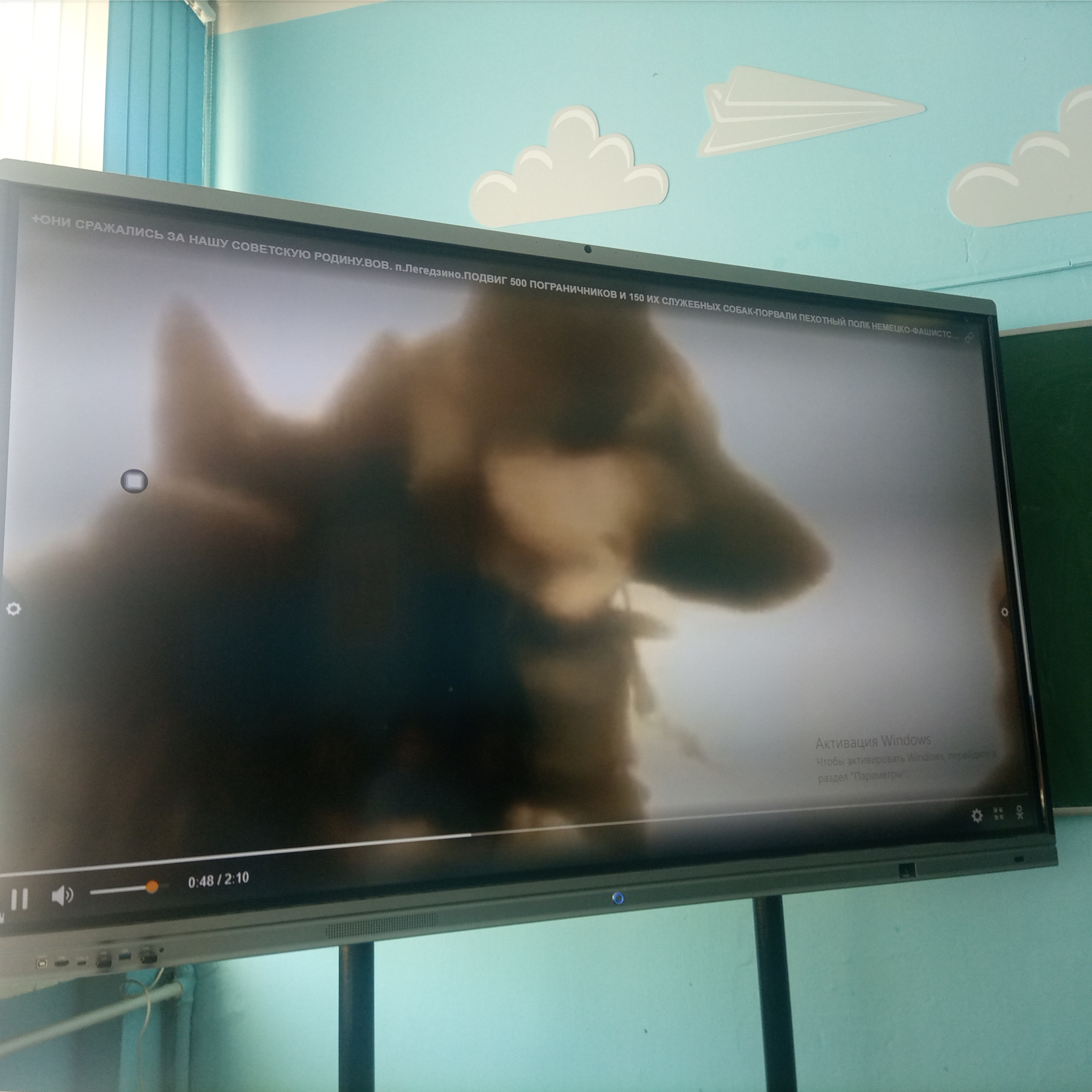 Лекция по теме «Фронтовая собака» для учащихся 5 и 6 классов школы № 29. НРОО КЦ "Собаковод"