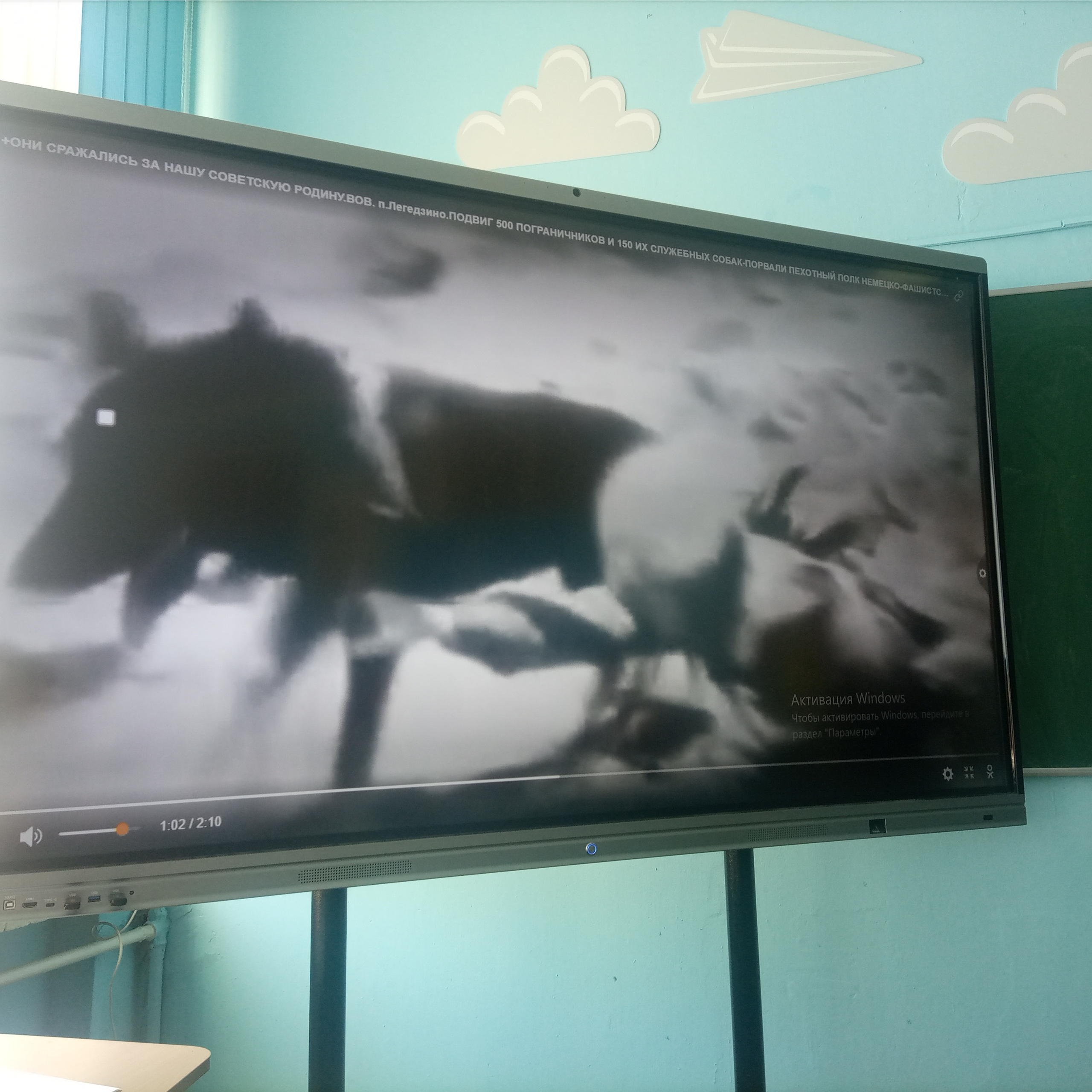 Лекция по теме «Фронтовая собака» для учащихся 5 и 6 классов школы № 29. НРОО КЦ "Собаковод"