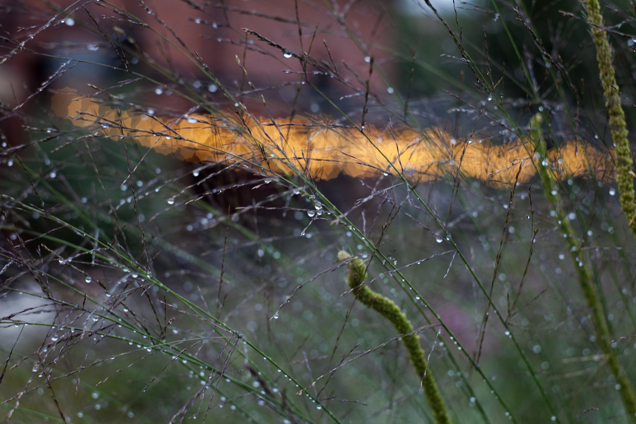 Новая Голландия — объект культурного наследия народов РФ федерального значения. Туманов Виталий — фотограф Москва