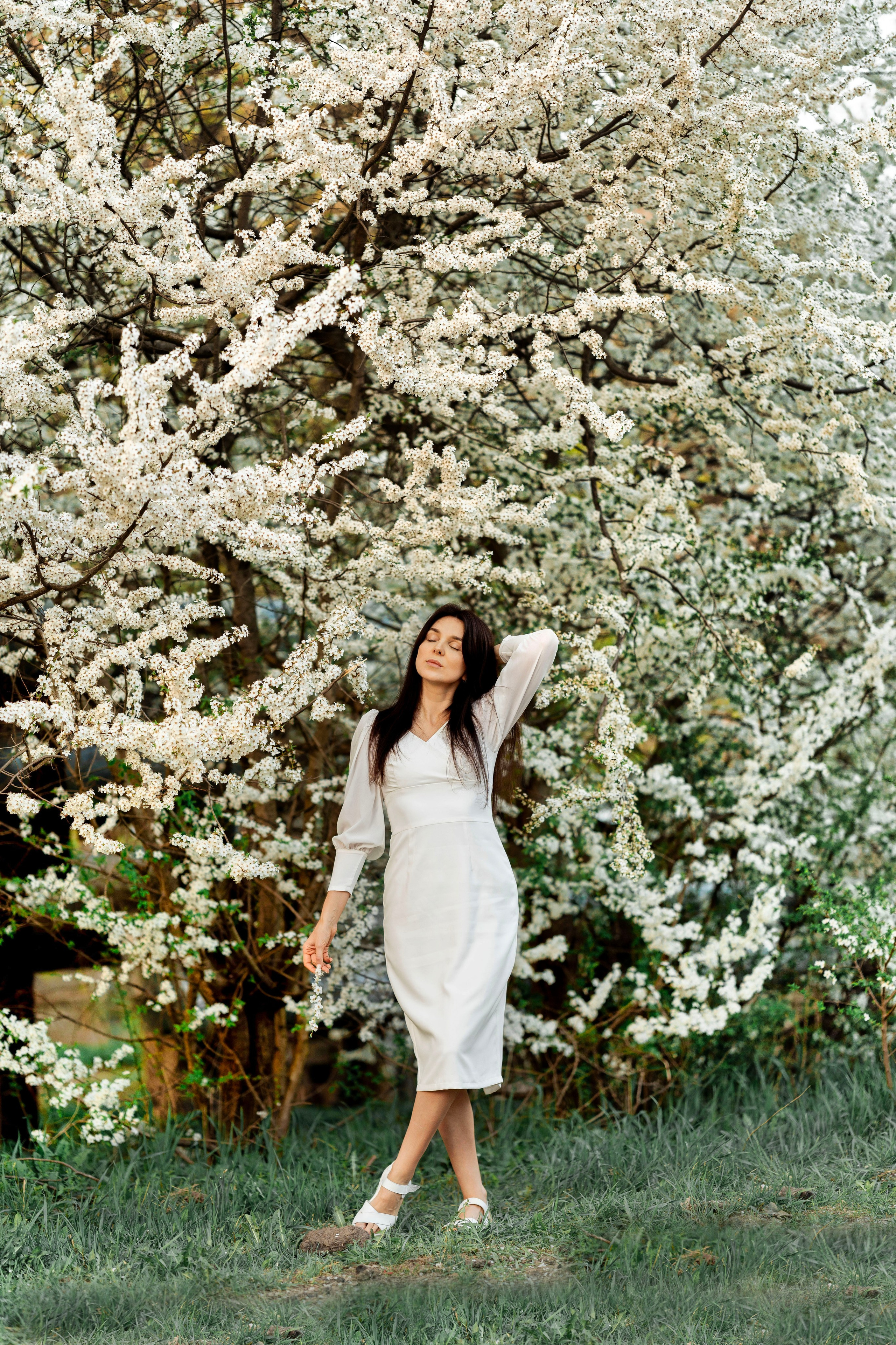 Цветение. Фотограф Юлия Попова