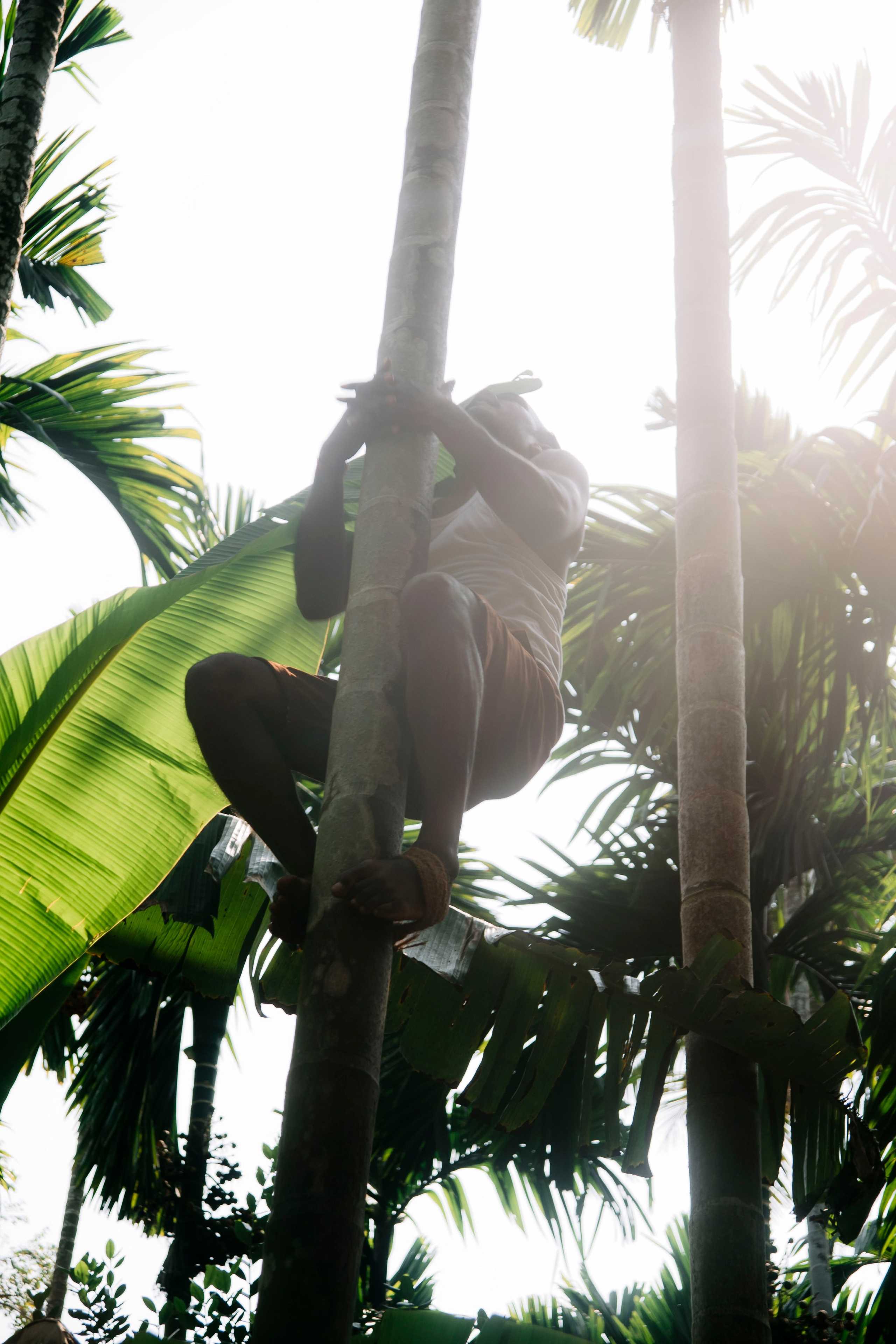 Гоа. индия. Iraogo