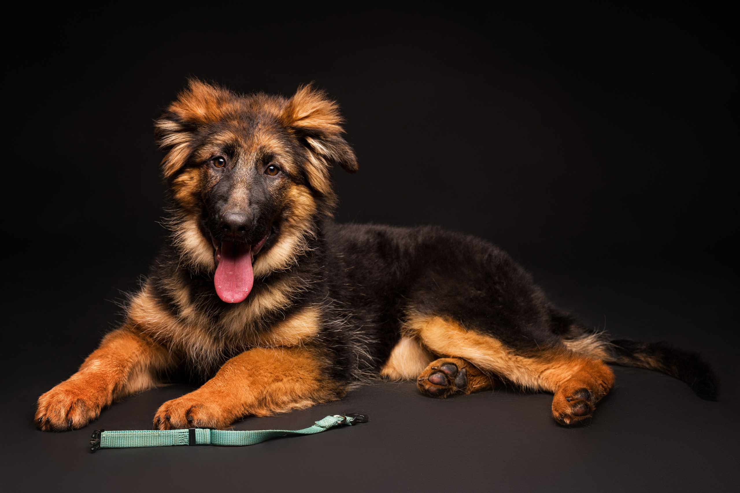 Студийные съемки. Портретный фотограф в Челябинске Катерина Руди