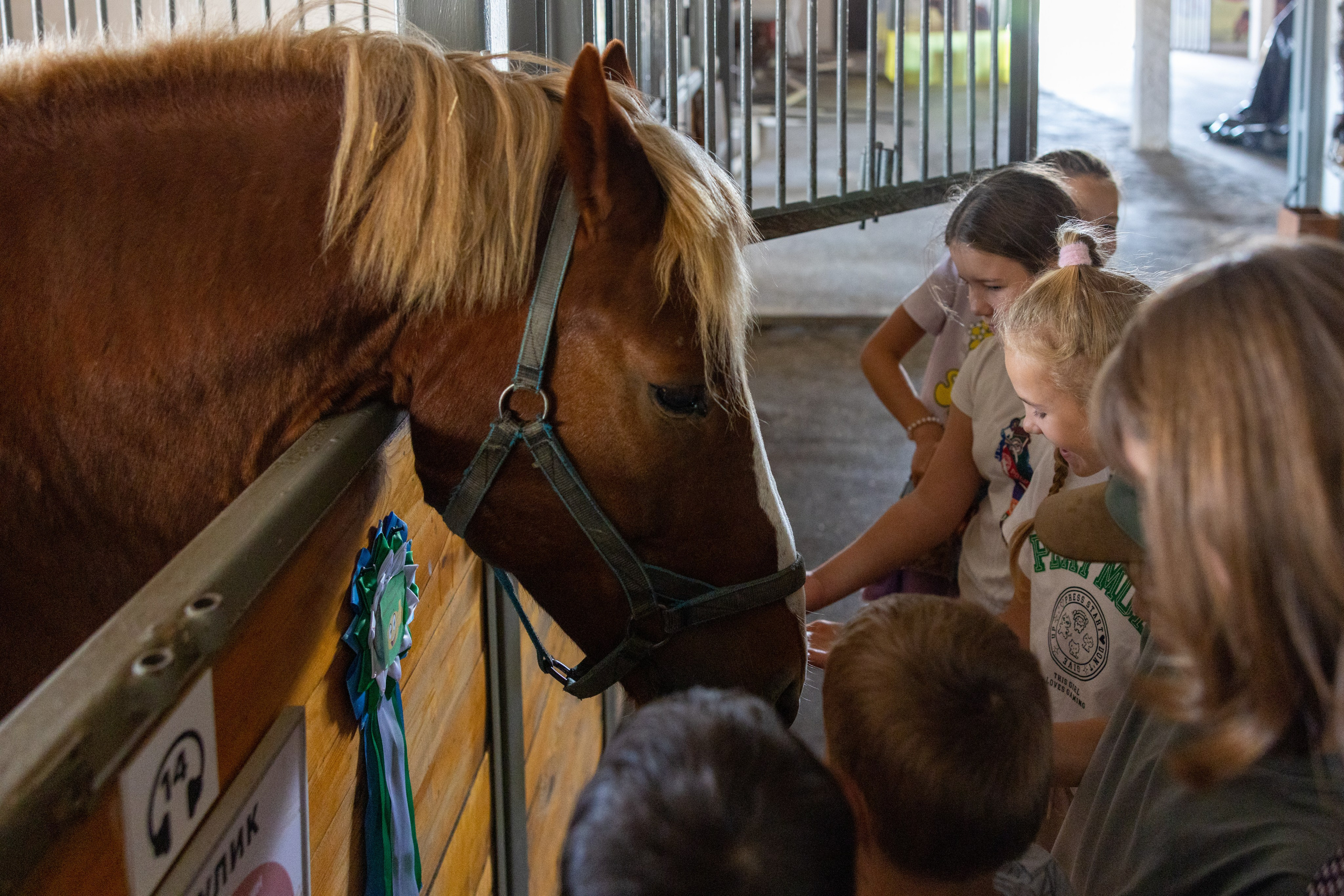 Поездка на поле Кулеково. Фотограф в Туле Крупский АнДРей. Фотостудия «КАДР71» в Туле