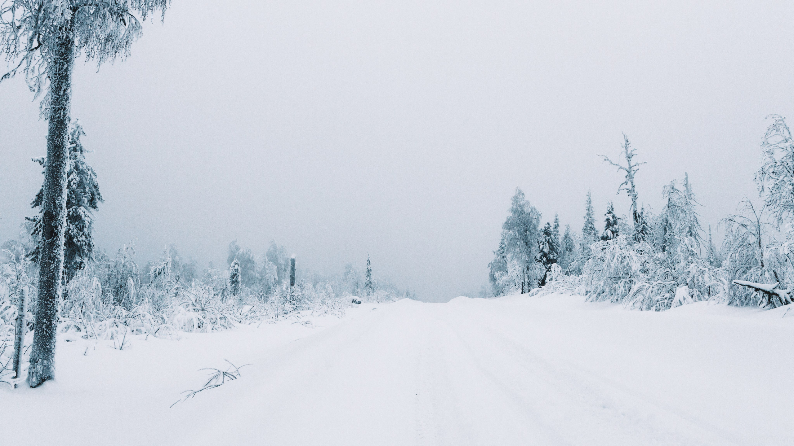 Экспедиционная фотосессия в горах/на природе