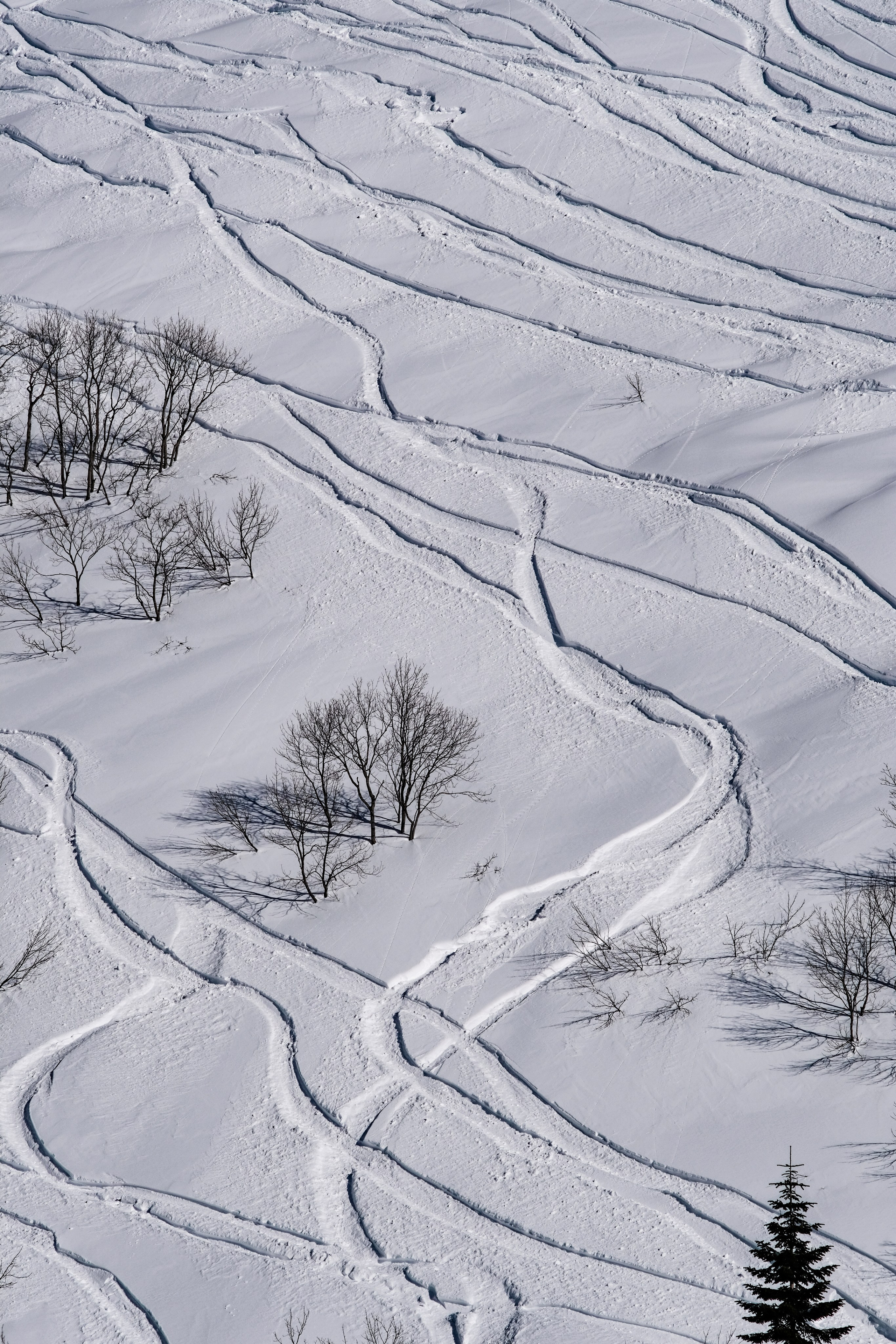 Кавказ. Фотограф Конопихин Константин