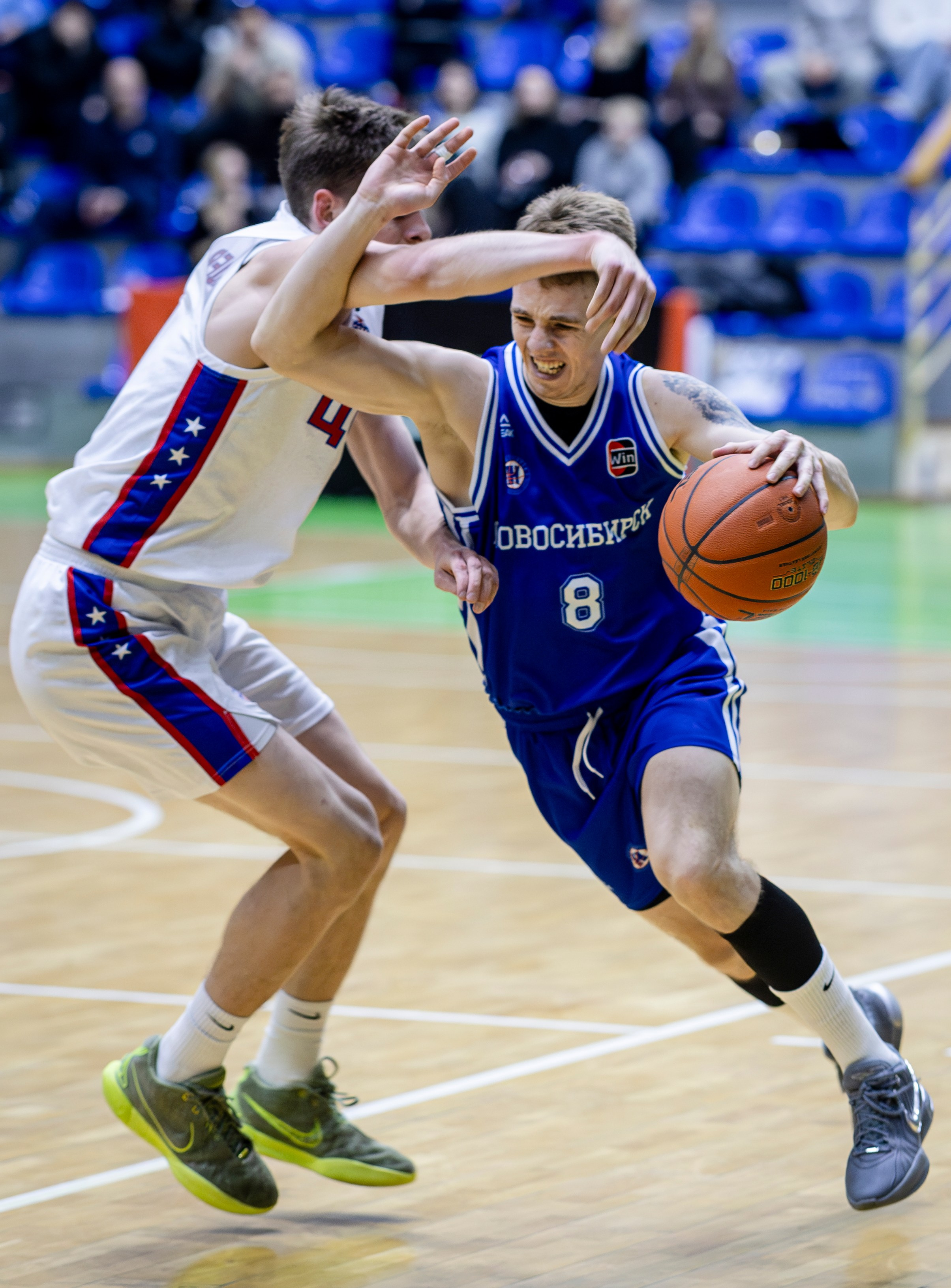 БК Новосибирск. Bertran Ordo