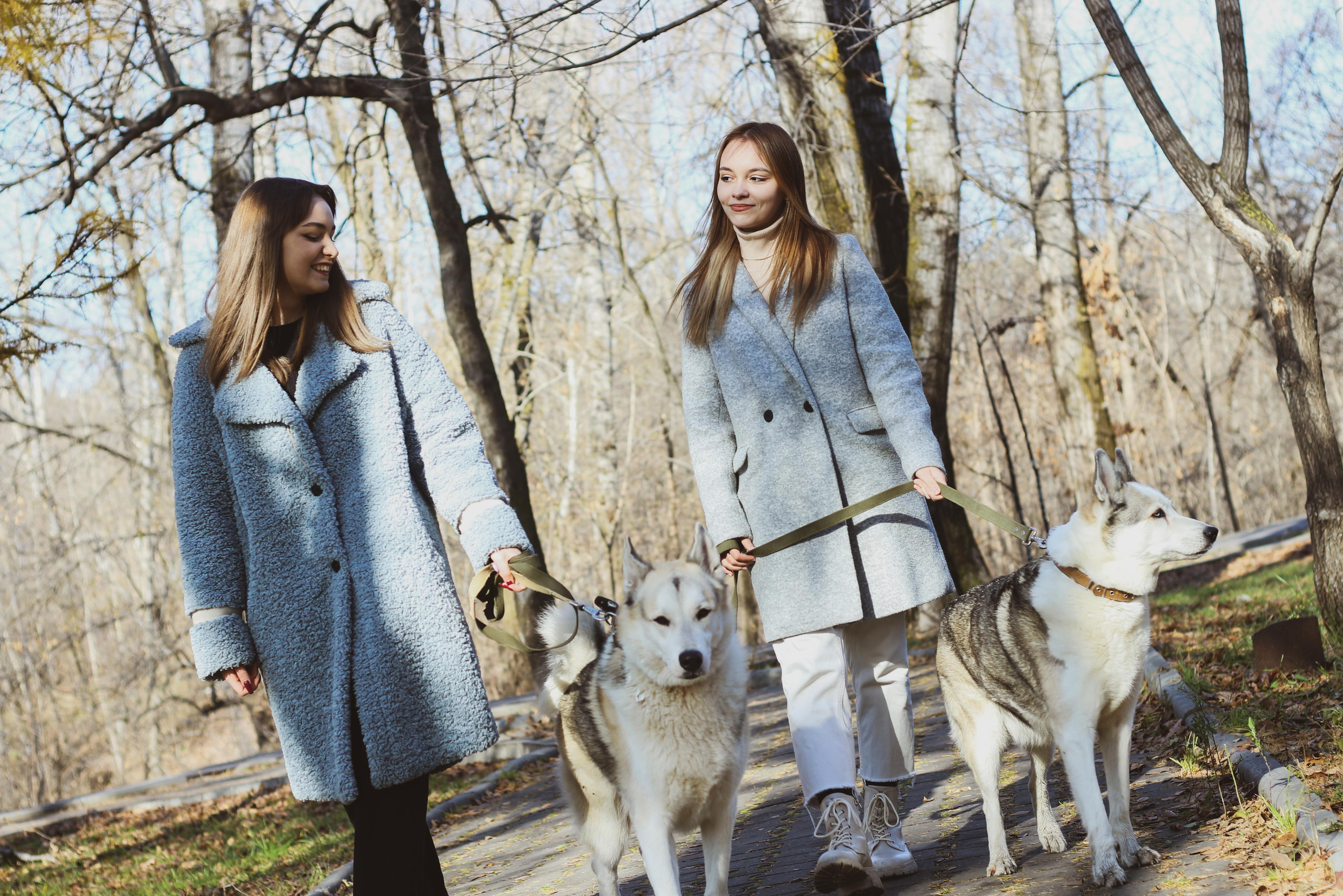 Прогулка 1. Алиса Томшина — Фотограф / Видеограф