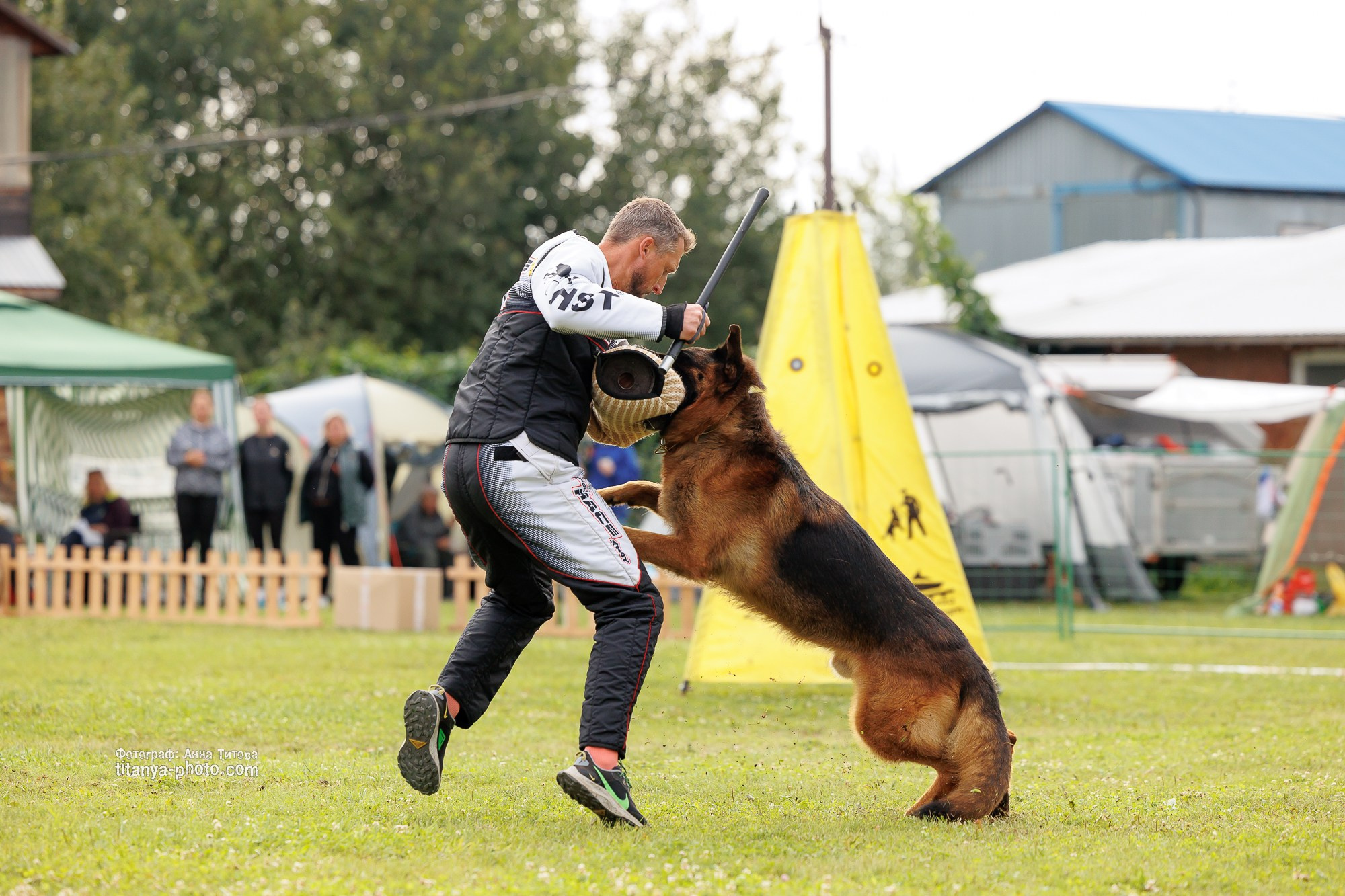 Немецкие овчарки: фото из рингов и вне ринга, мутпроба (фотографии с выставок). Фотограф собак, фотограф-анималист Аня Титова (Titanya). Москва