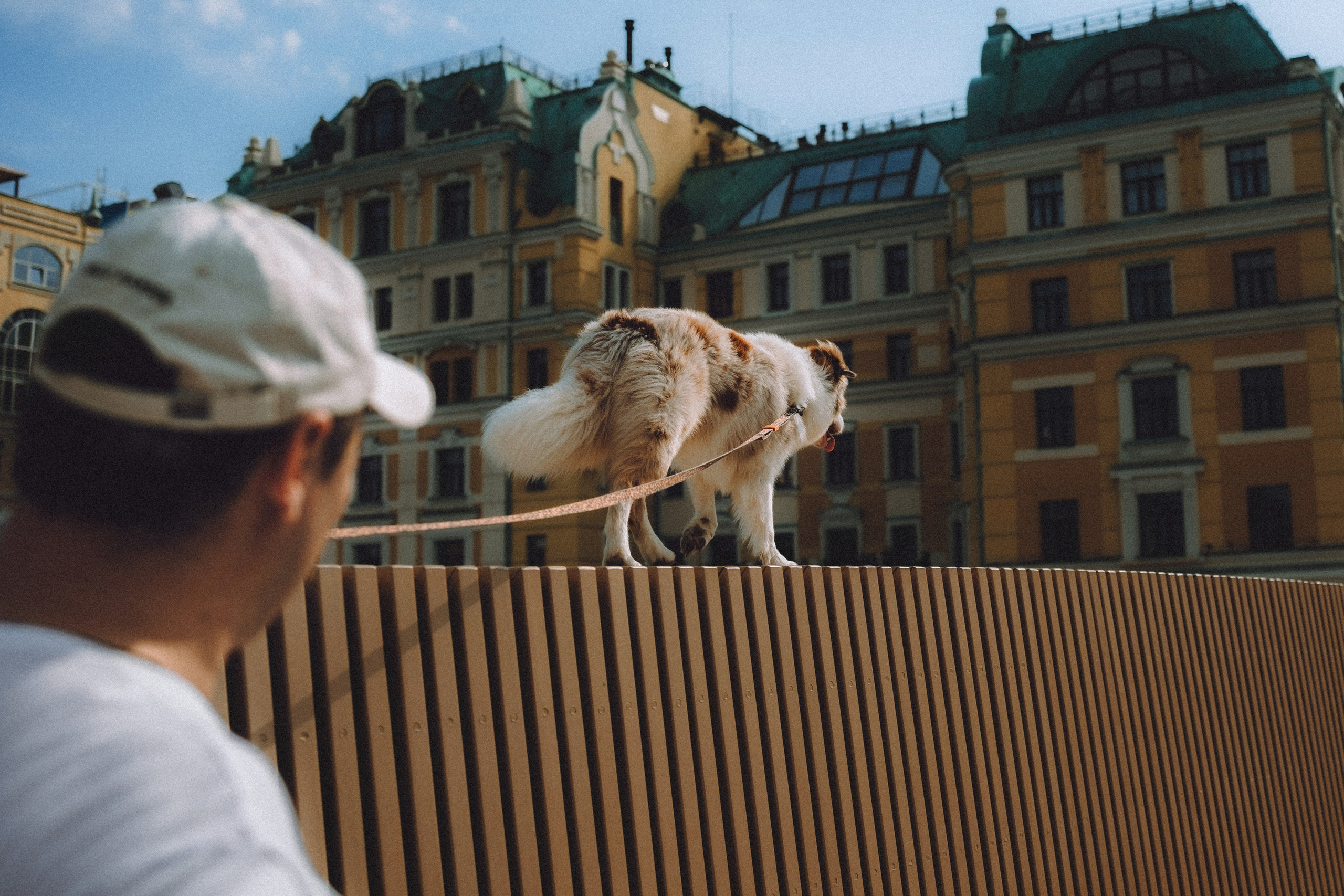 Один и его семья