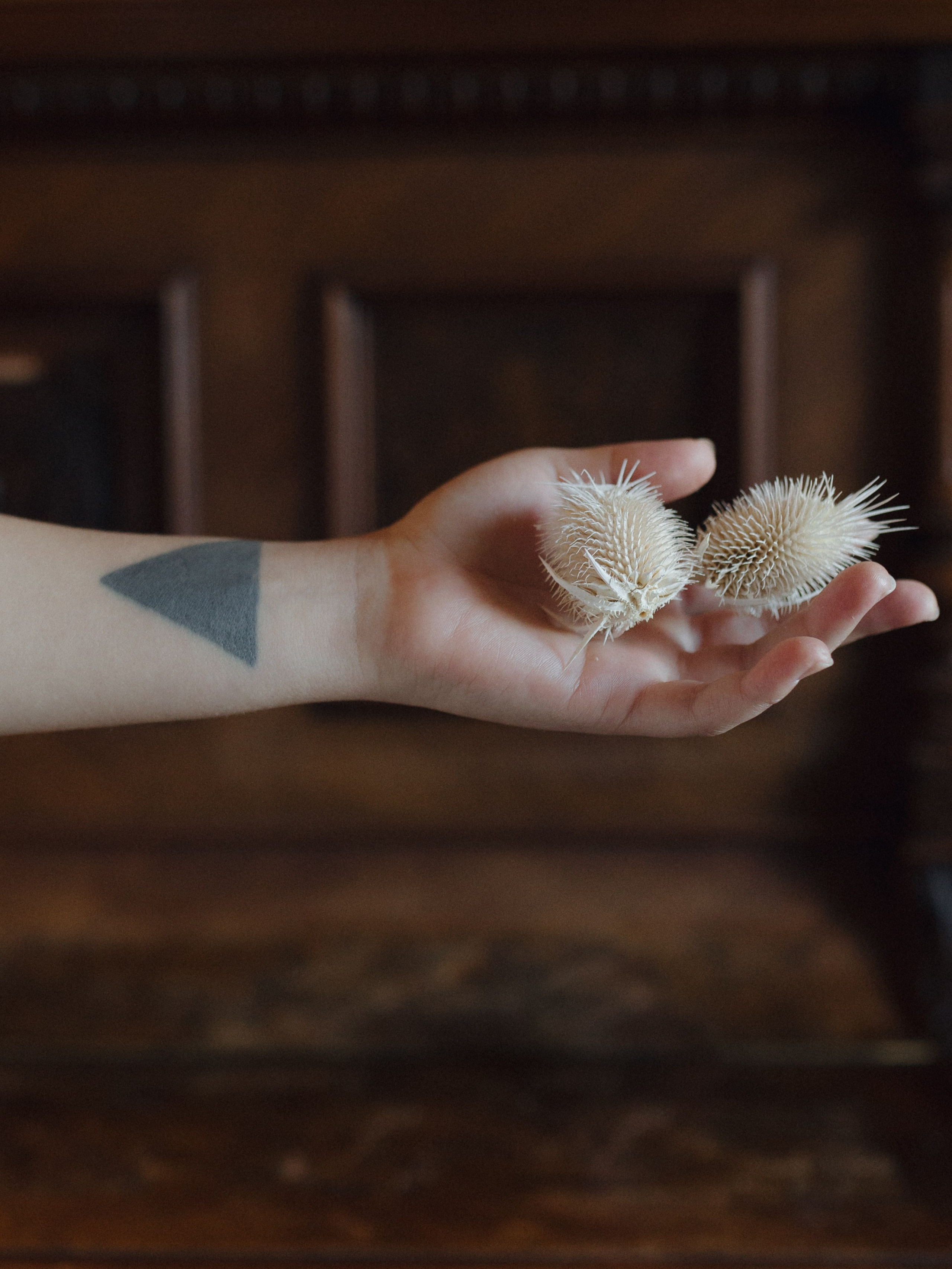 «Свита». Свадебный и семейный фотограф в Калининграде Ольга Мешечкова