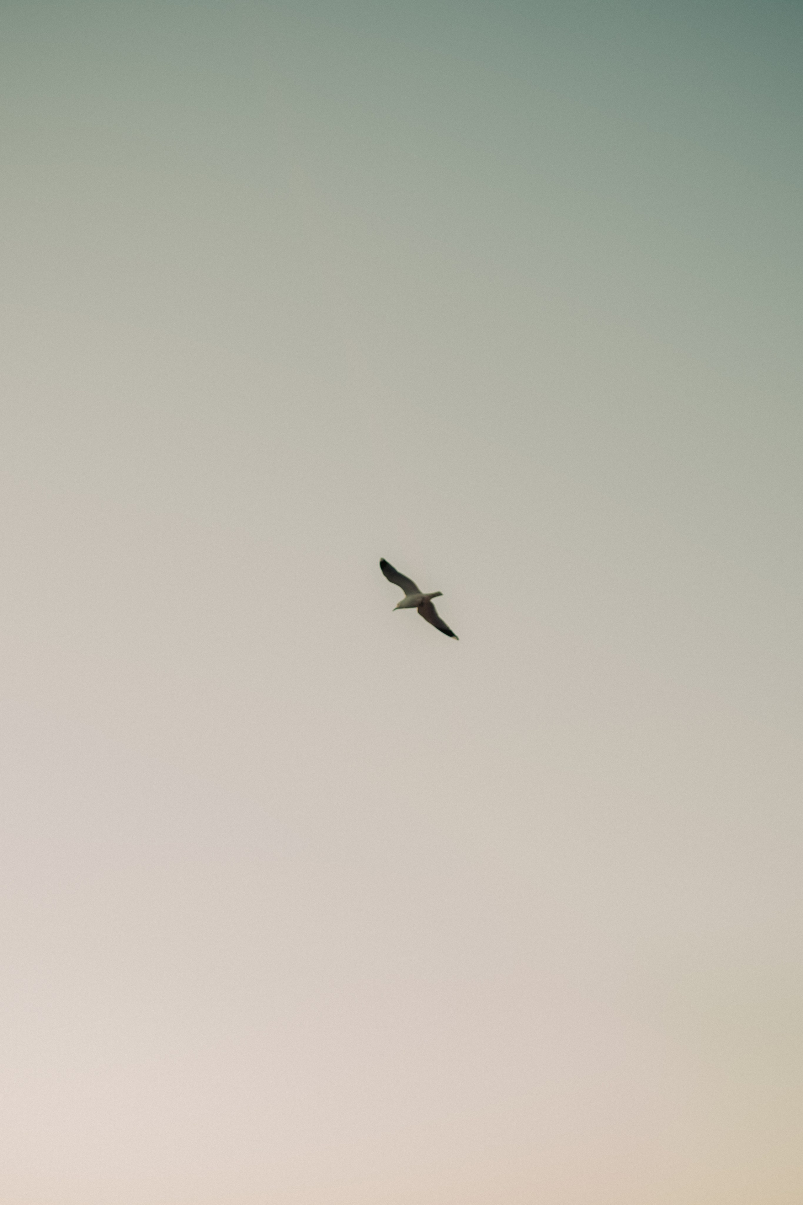 Дима. Рассвет на Борницком карьере. Lickord