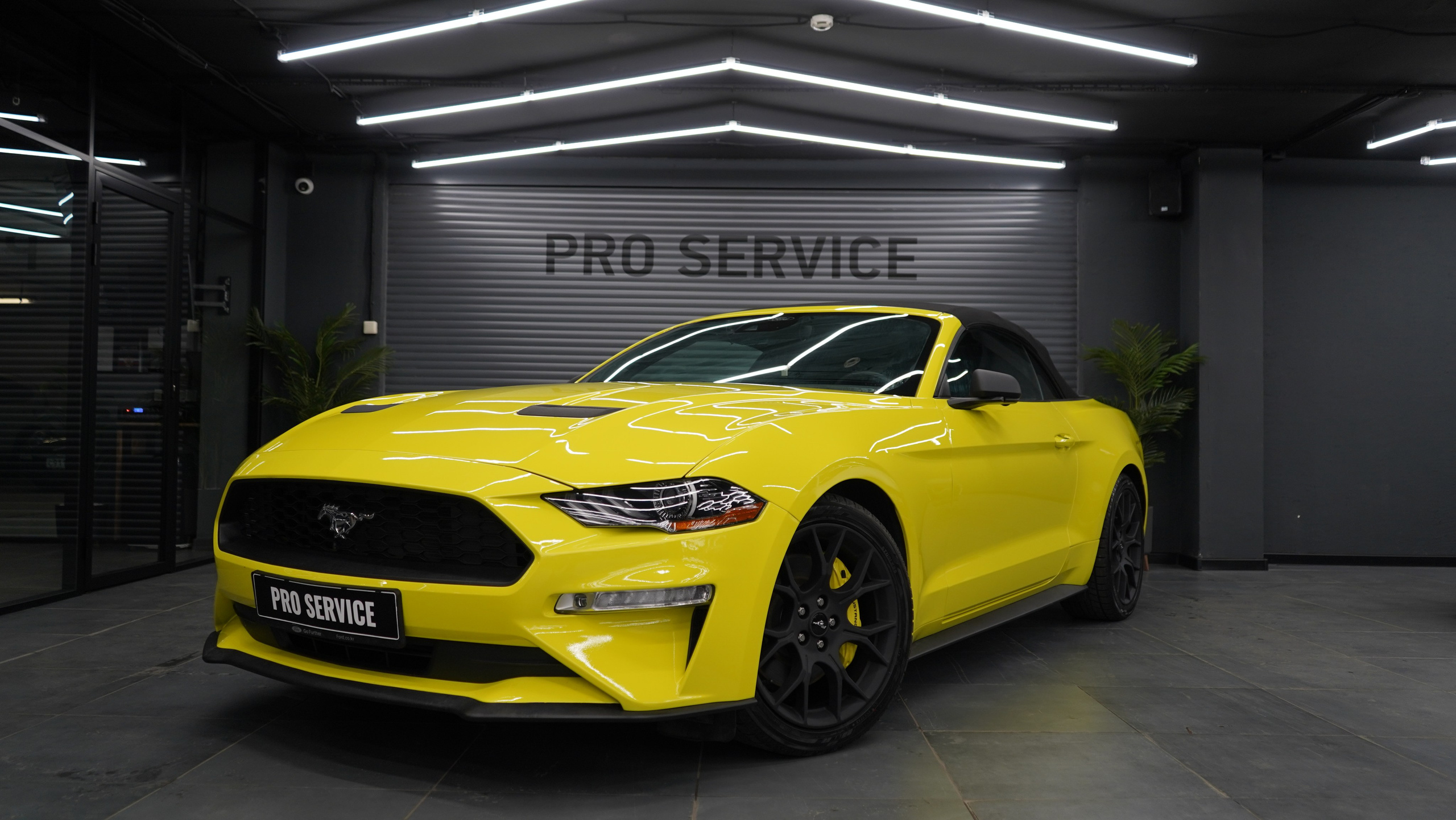 Ford Mustang. Никита Смирнов — фотограф в Москве | SMIRNOW MEDIA