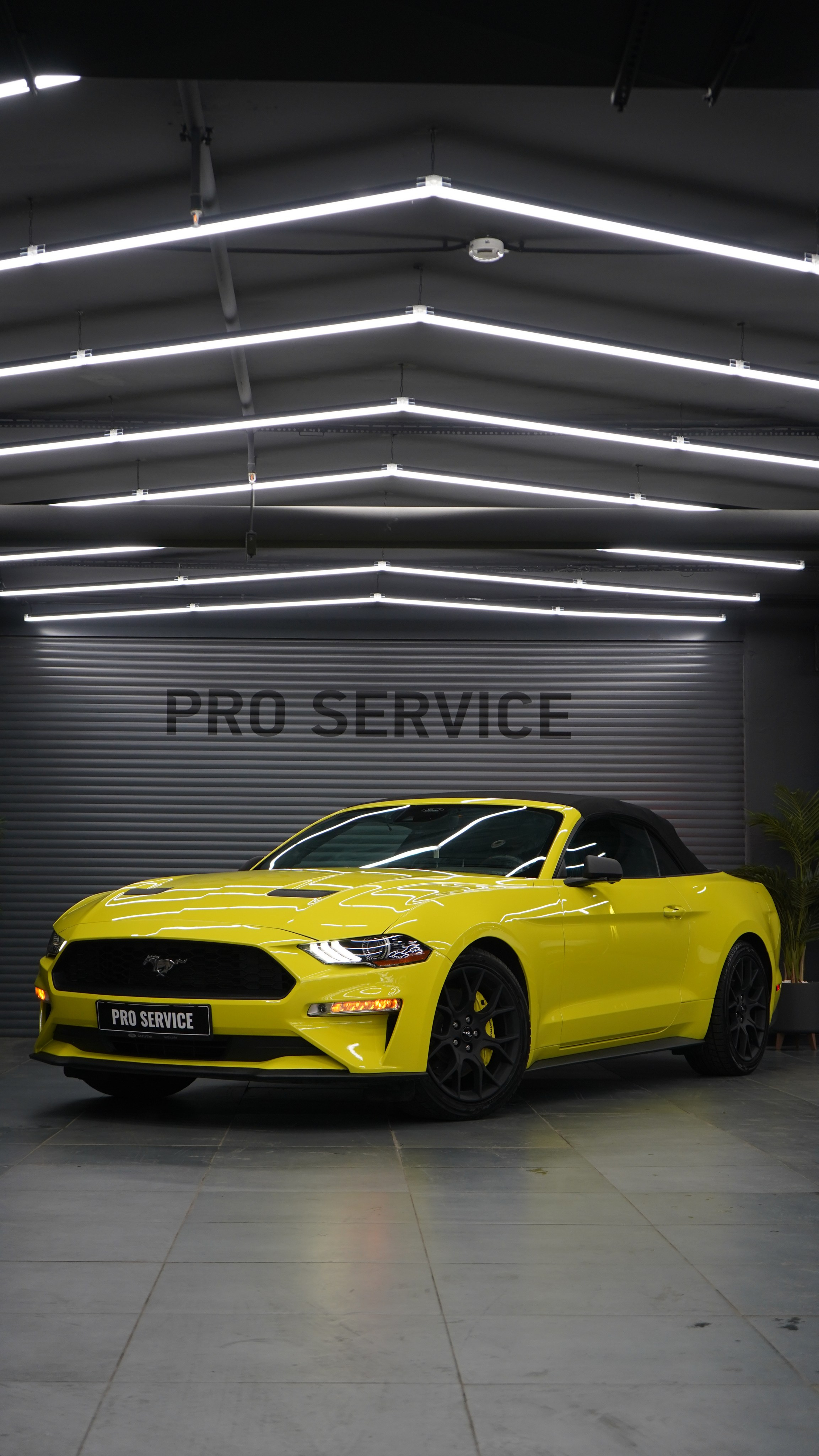 Ford Mustang. Никита Смирнов — фотограф в Москве | SMIRNOW MEDIA