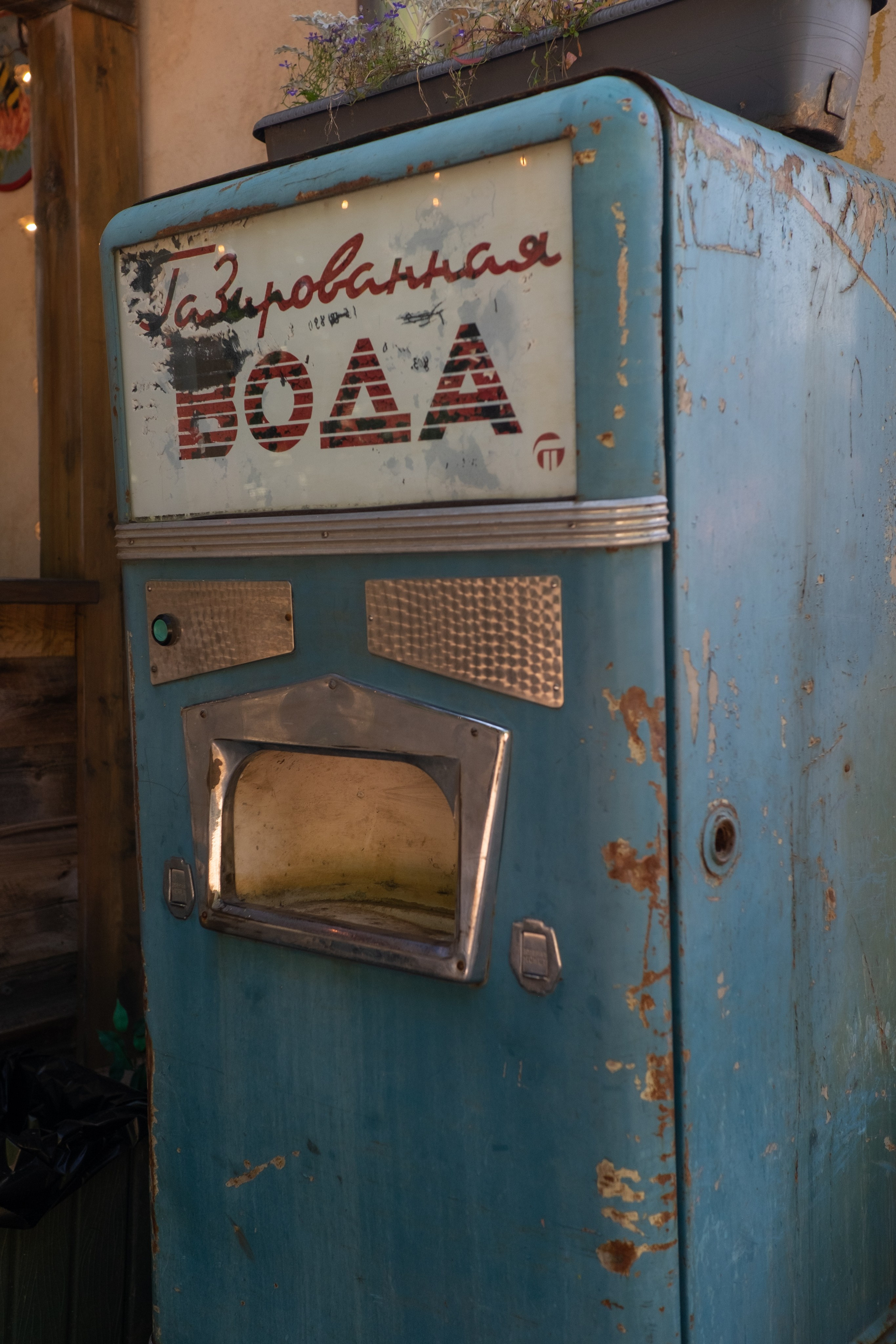 Мы За ПАР. Портретный фотограф DanilNabody