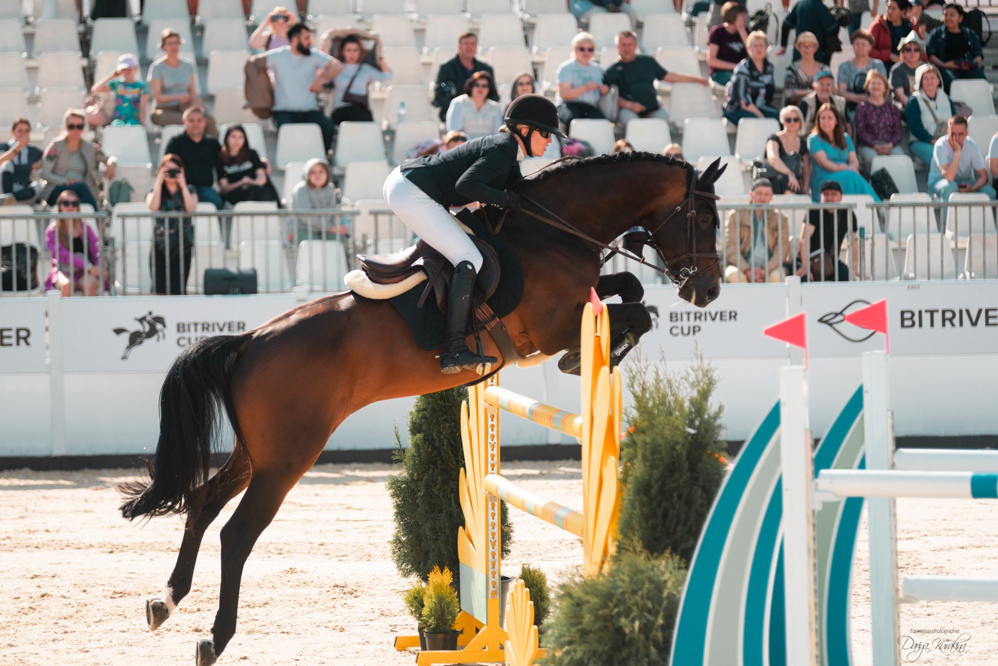 BITRIVER CUP 2023. Конный фотограф Куракина Дарья • Фотосессии с лошадьми