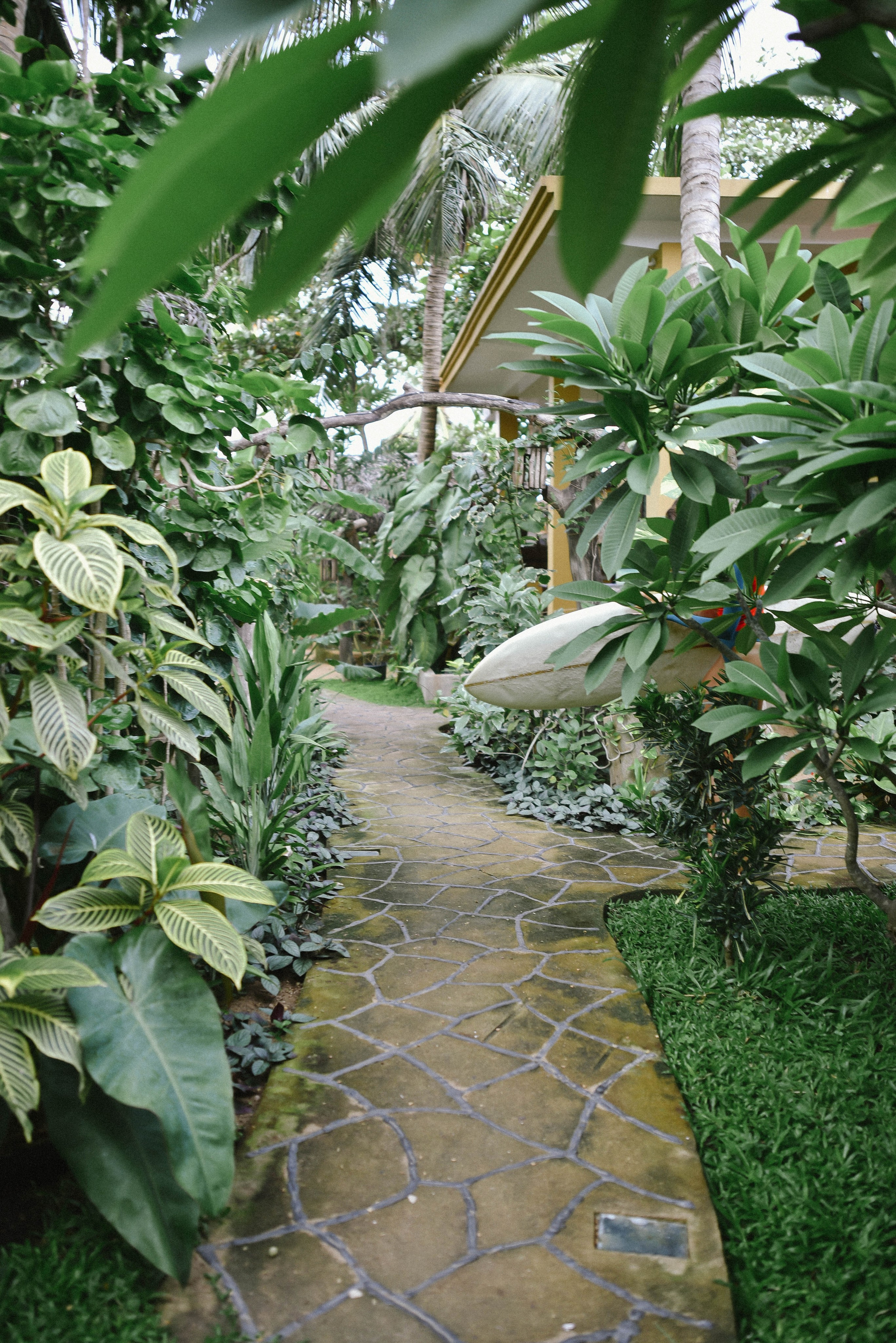 Съемка серфинга с воды в Аругам Бэй | Девушка на волнах восточного побережья. Фотограф на Шри-Ланке