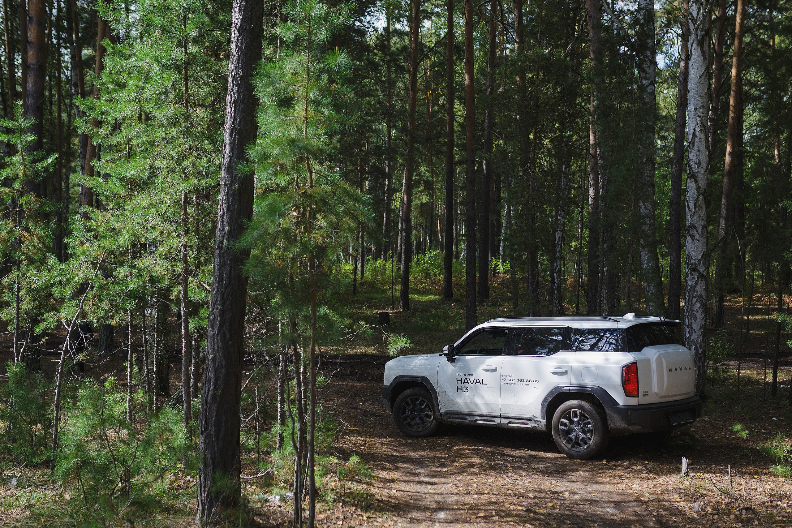 АВТО. Roman Photo