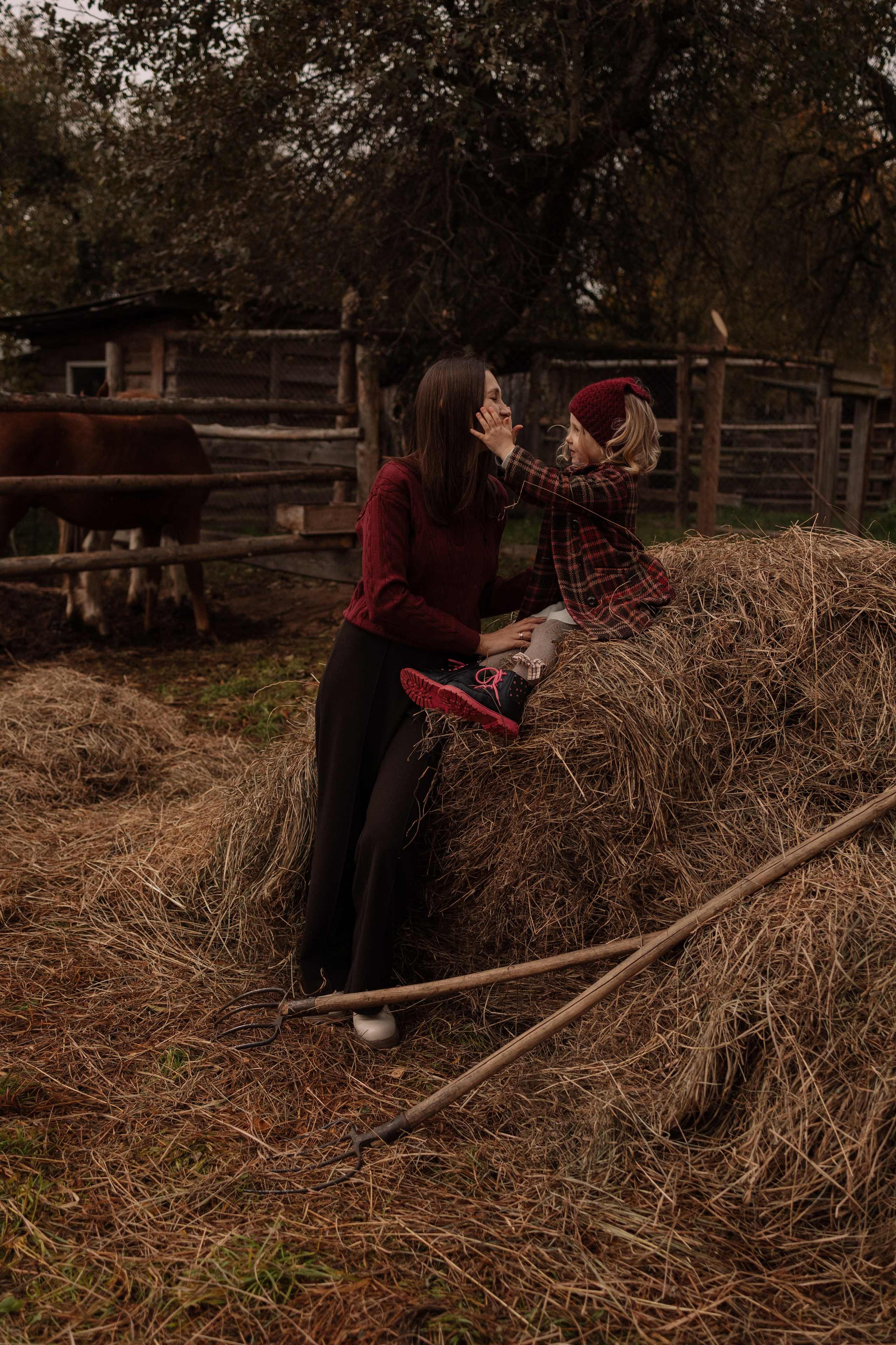 Семейная. Photographer Oseiko Nadezhda
