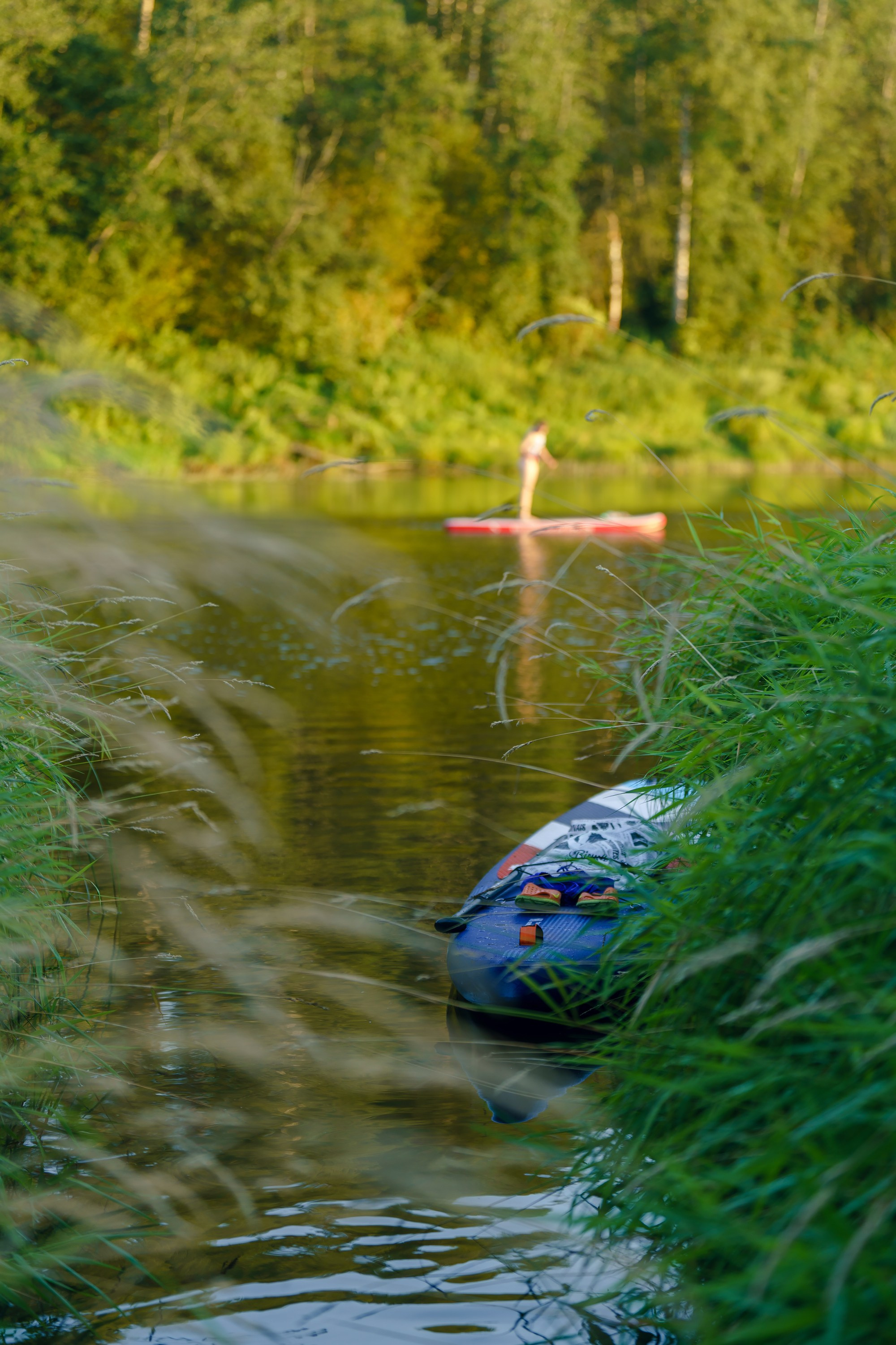 Фотографии Национальный парк Угра. Фотограф спортивные события, недвижимость, турбизнес