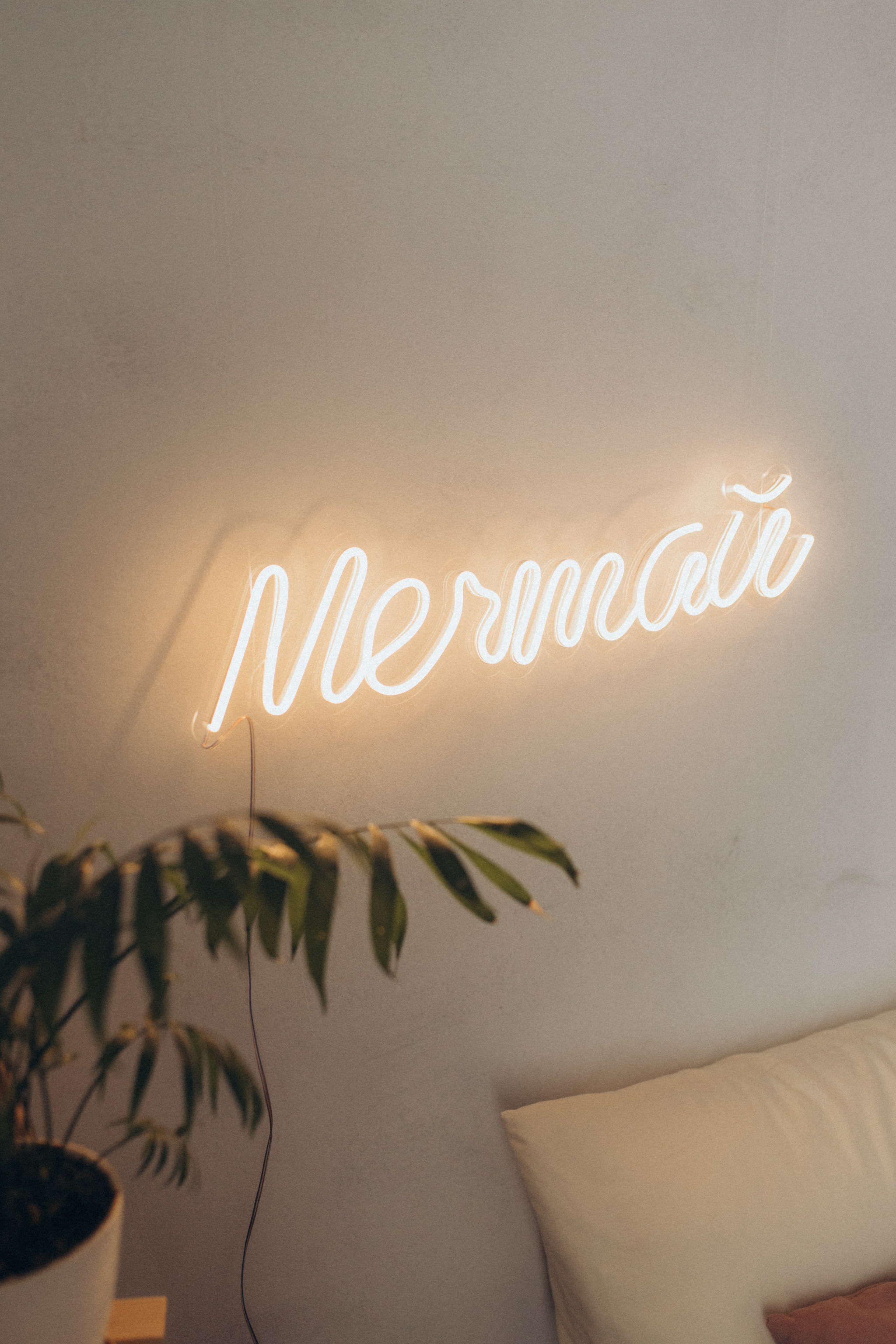 Мечтай. Свадебный и семейный фотограф в Белгороде Евгения Курочкина