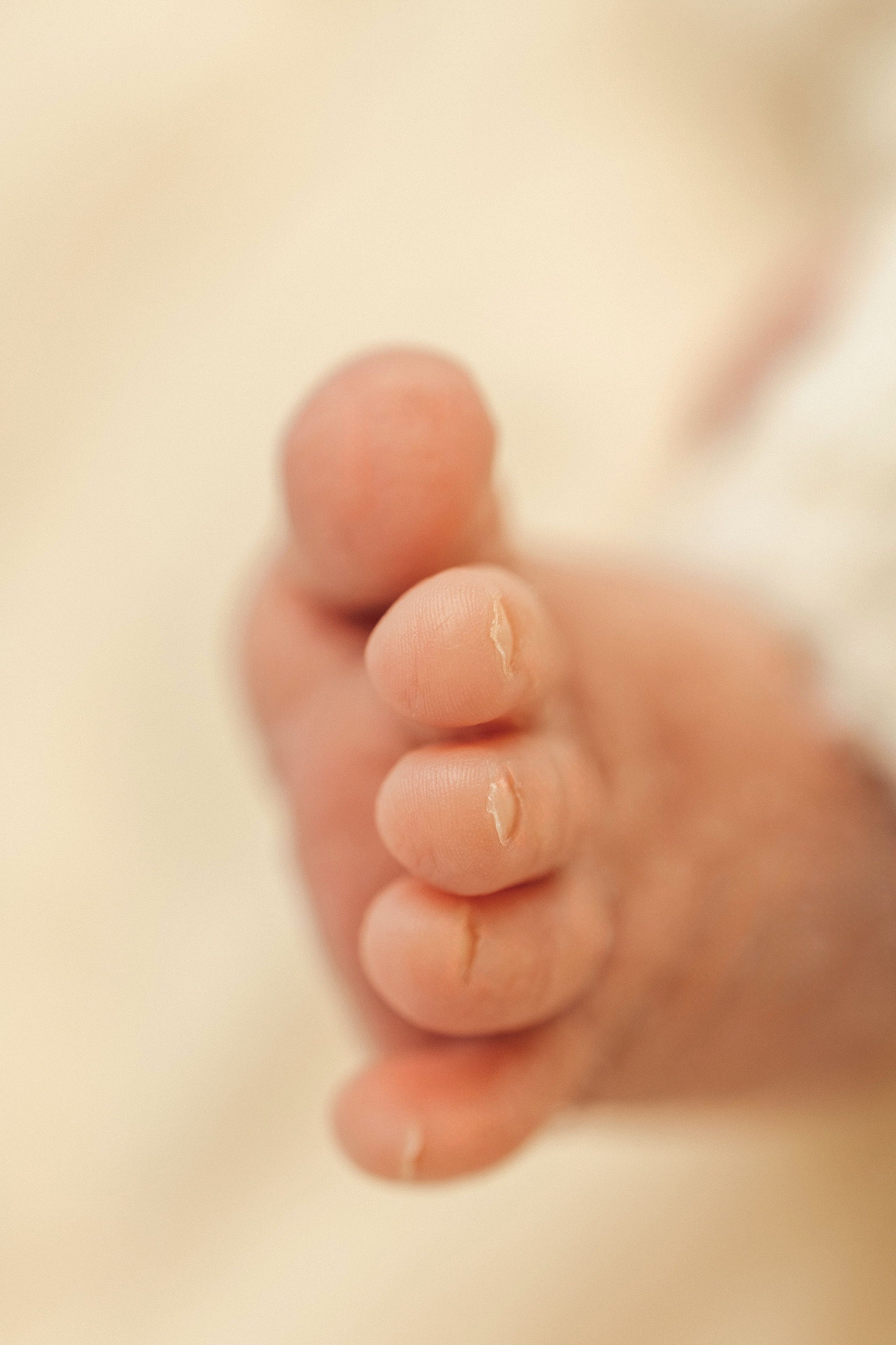 Newborn (14-30 дней). Фотограф Наталья Сабирова