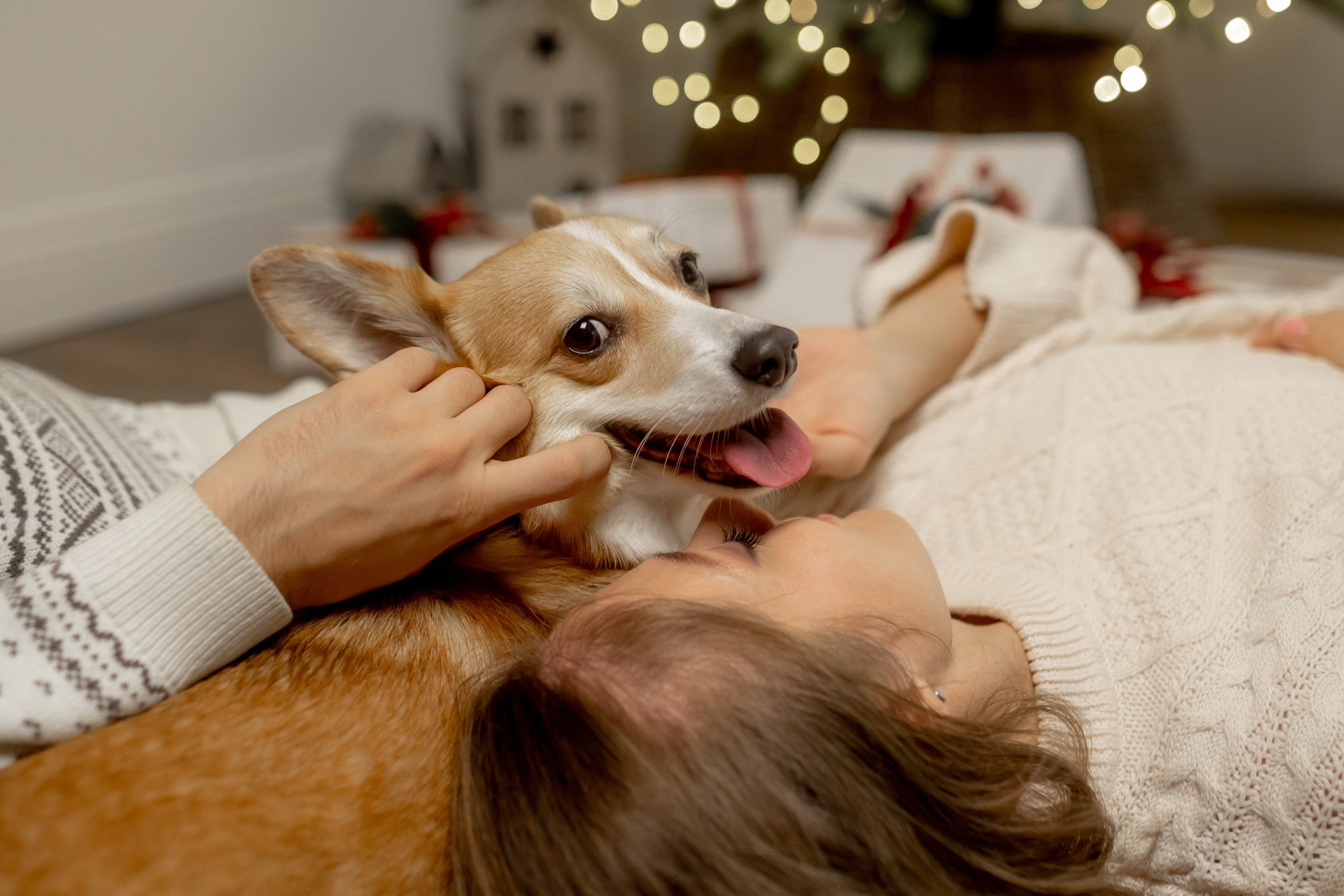 Новогодний хвостик. Свадебный и семейный фотограф в Севастополе и в Крыму Анастасия Корчак