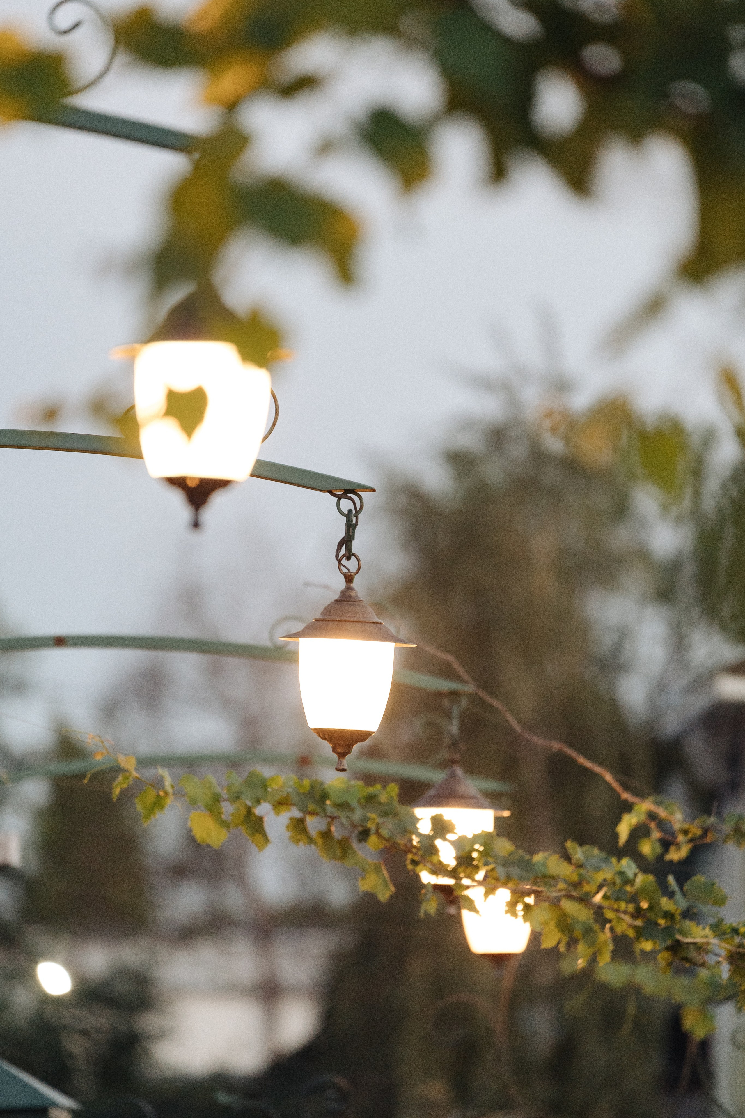 Гастроужин LOVELIFE. Свадебный фотограф  Ростов-на-Дону Моска, Санкт — Петербург