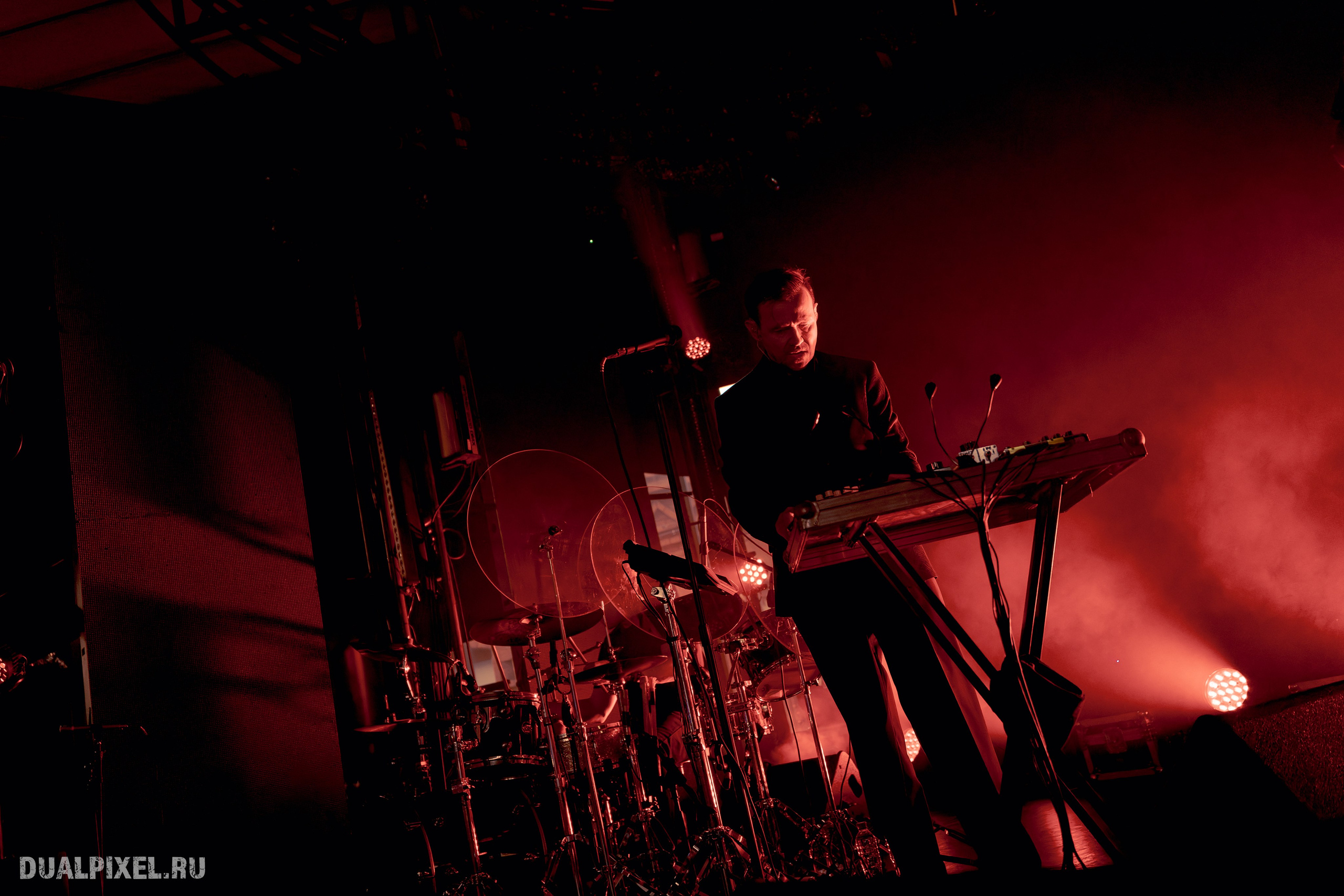 Дельфин. Магия музыки в кадре: Концертная Фотография