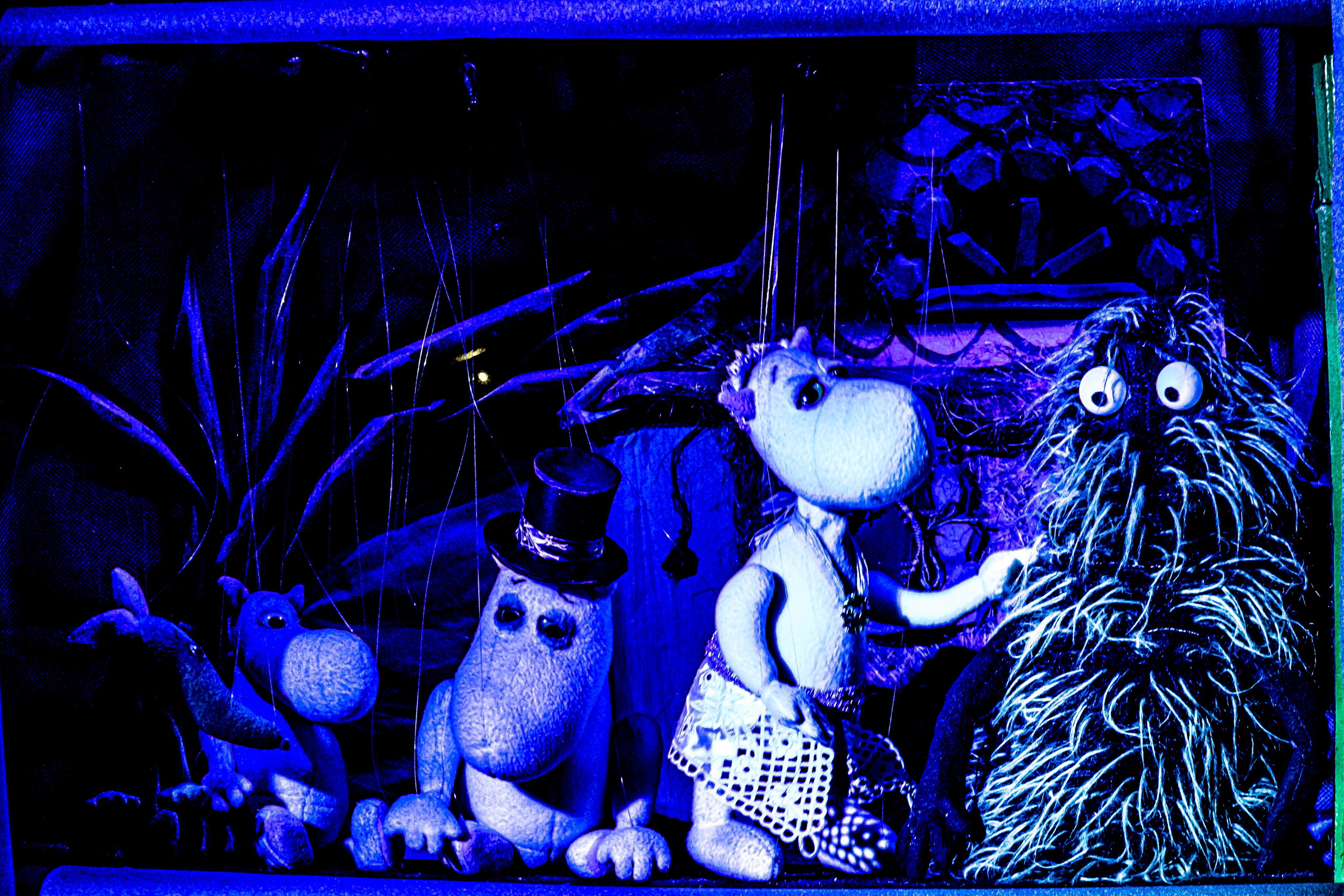 «Муми тролли и большое наводнение». Фотограф в Сочи Юрий Шептаев