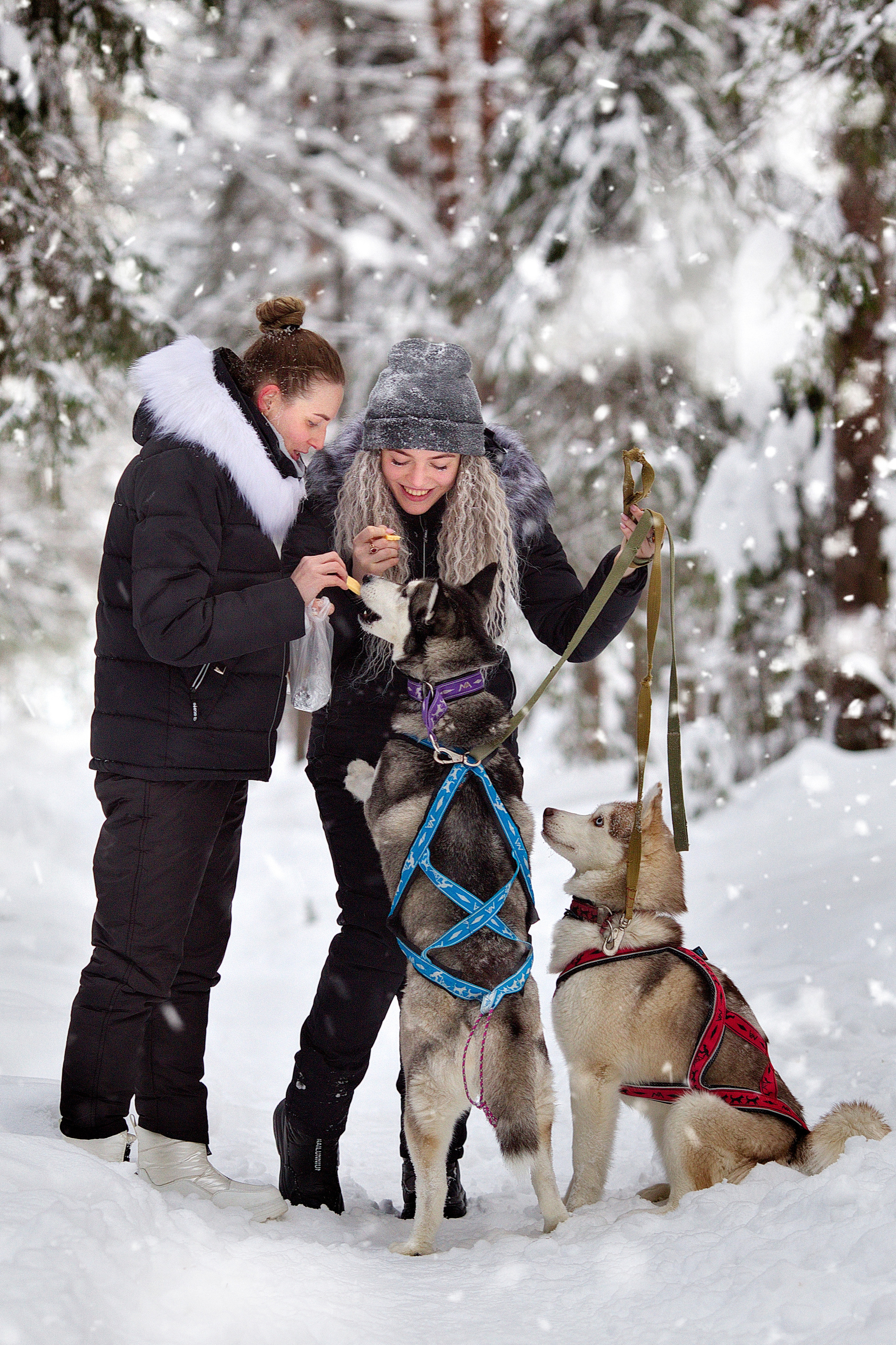 Прогулочные. Фотограф города  Краснотурьинска Медведев Михаил