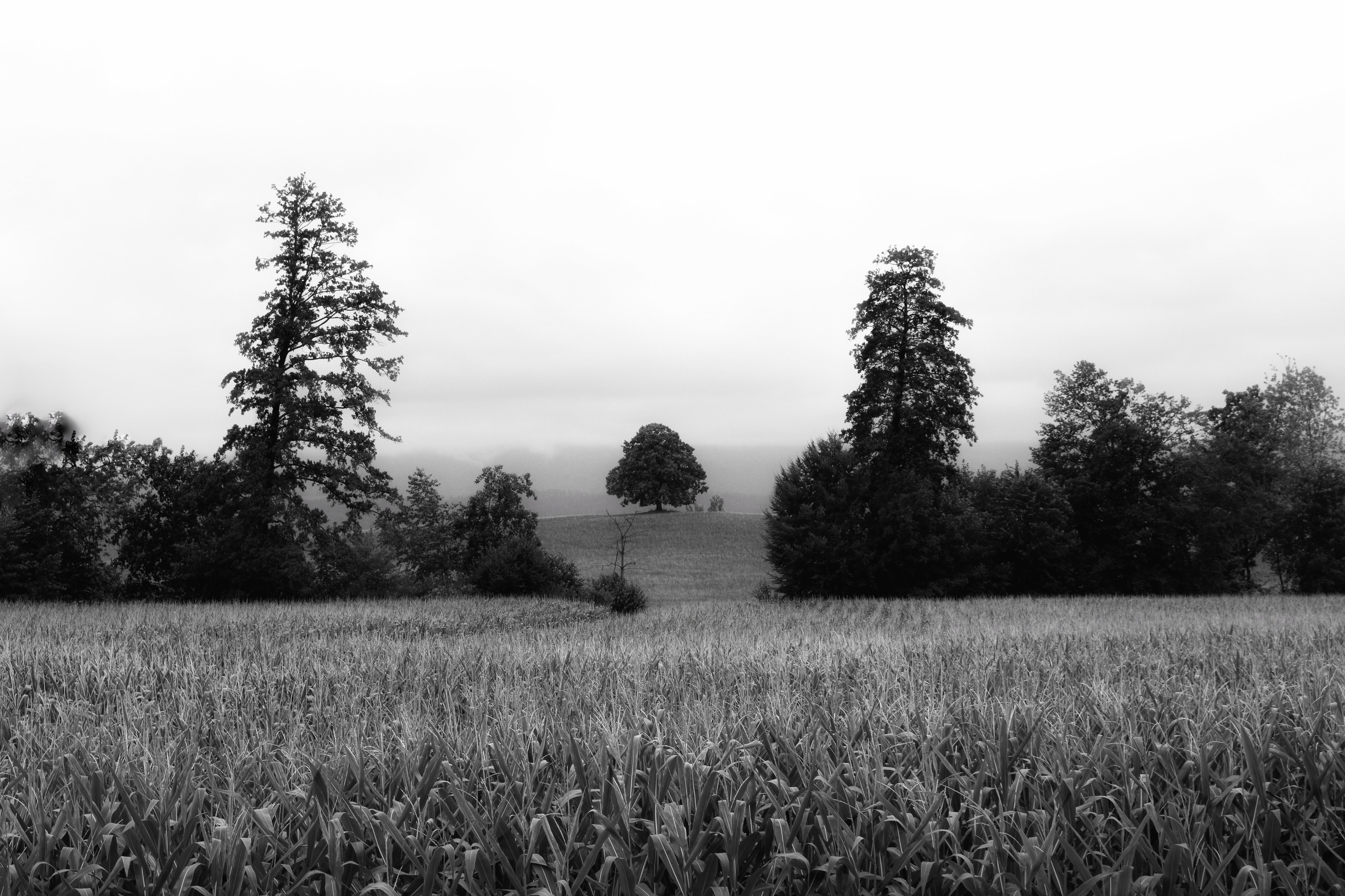 Портфолио. Фотограф в Москве