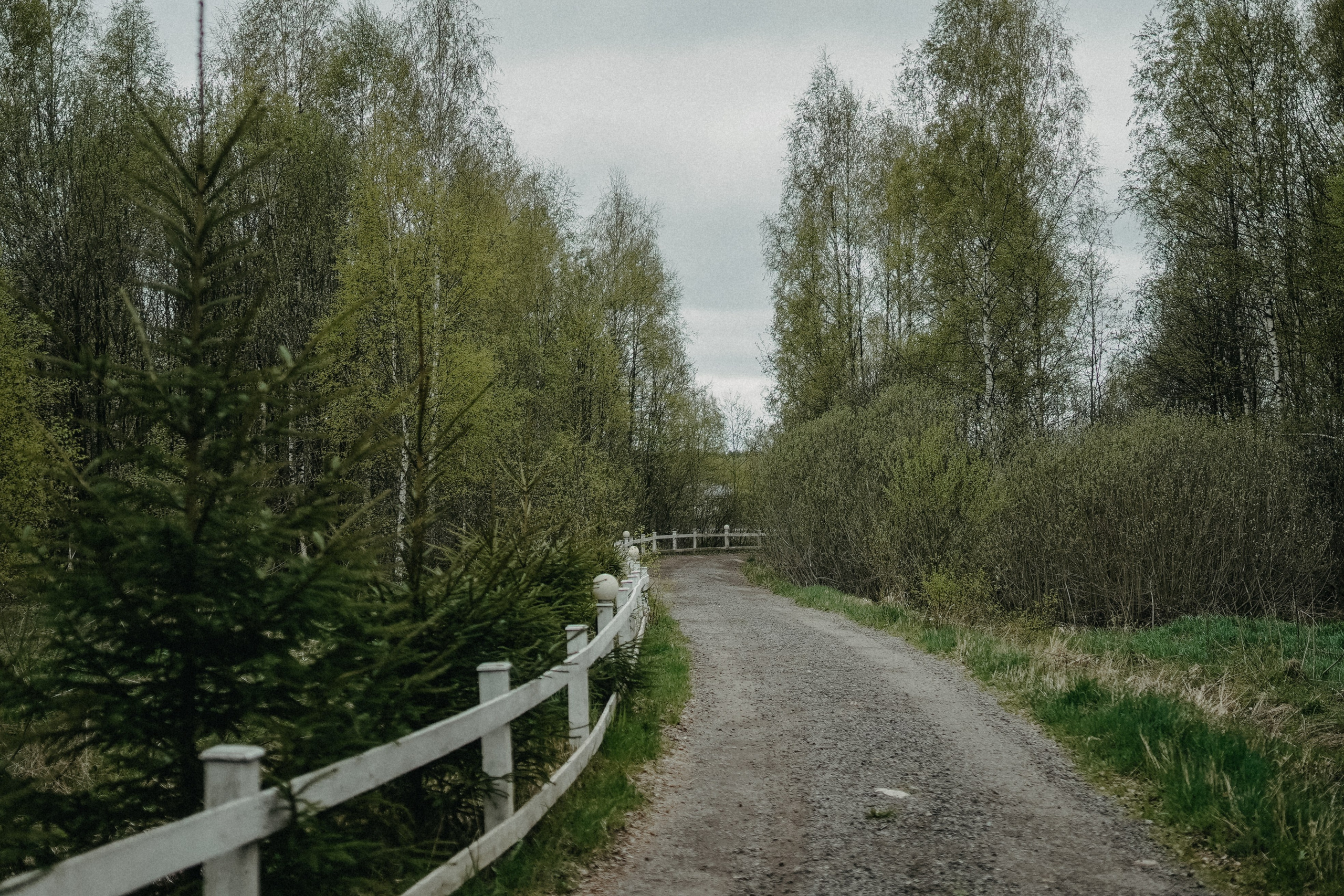 Евгений и Евгения. В единении с природой. Фотограф Наталья Колганова