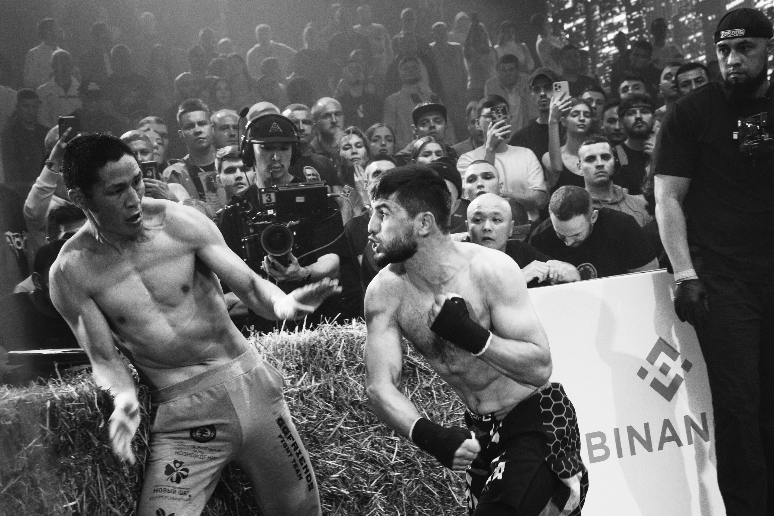 Кулачные бои TopDog. Анастасия Тен