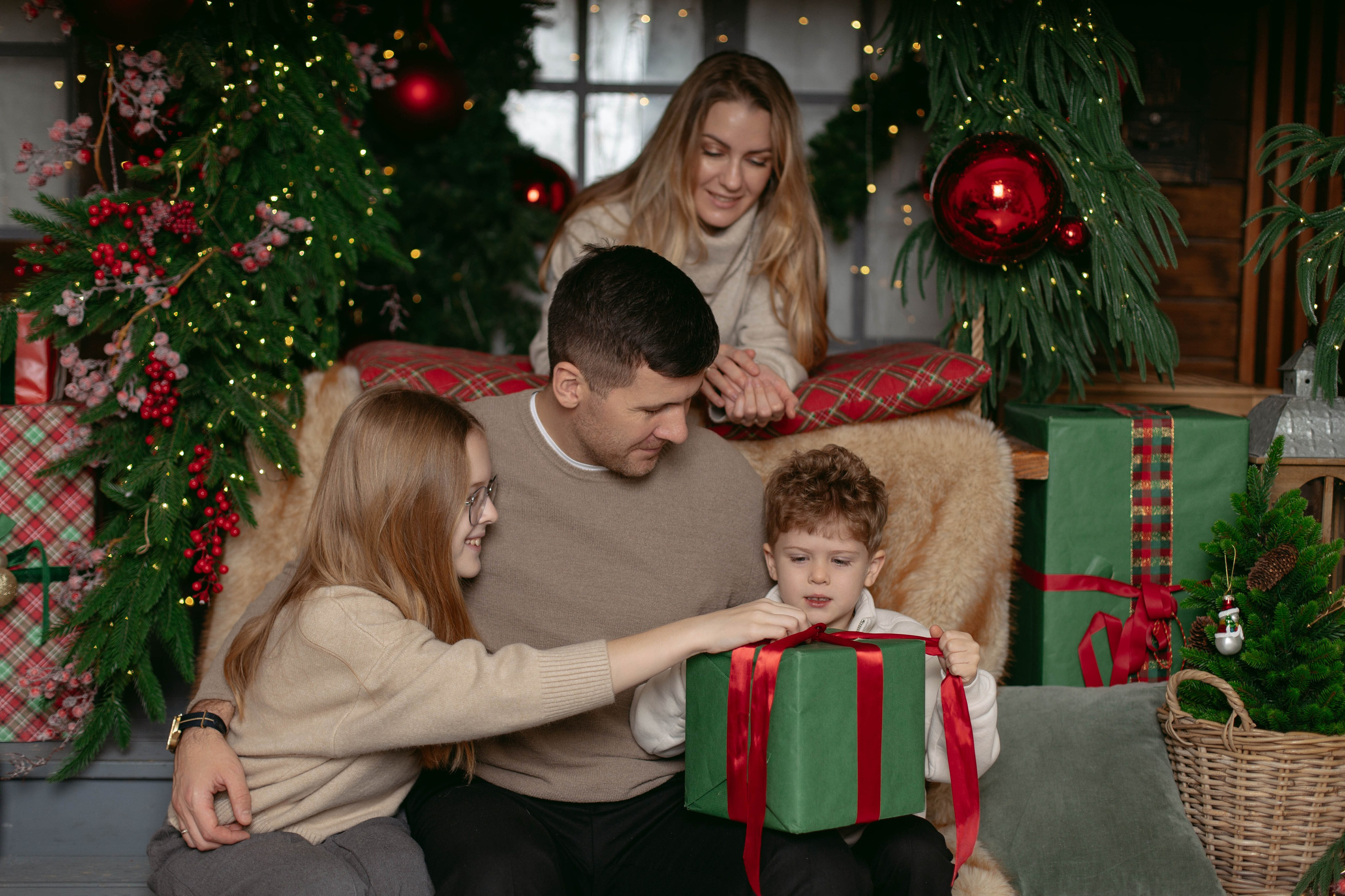 Новогодняя. Семейный фотограф Гульцовская Екатерина