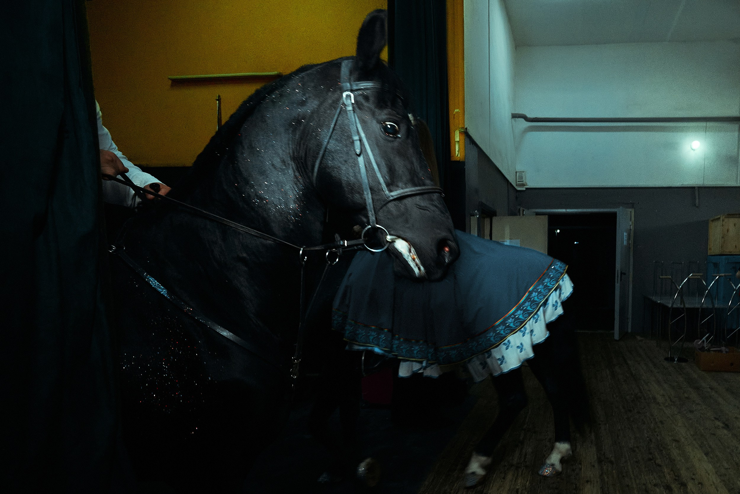 Проект «Жизнь артистов»/project «Artist life». SHELESTOV